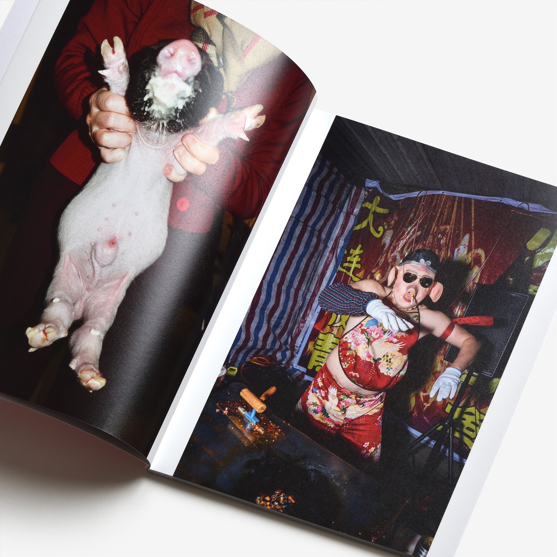 Feng Li: PIG | North East
