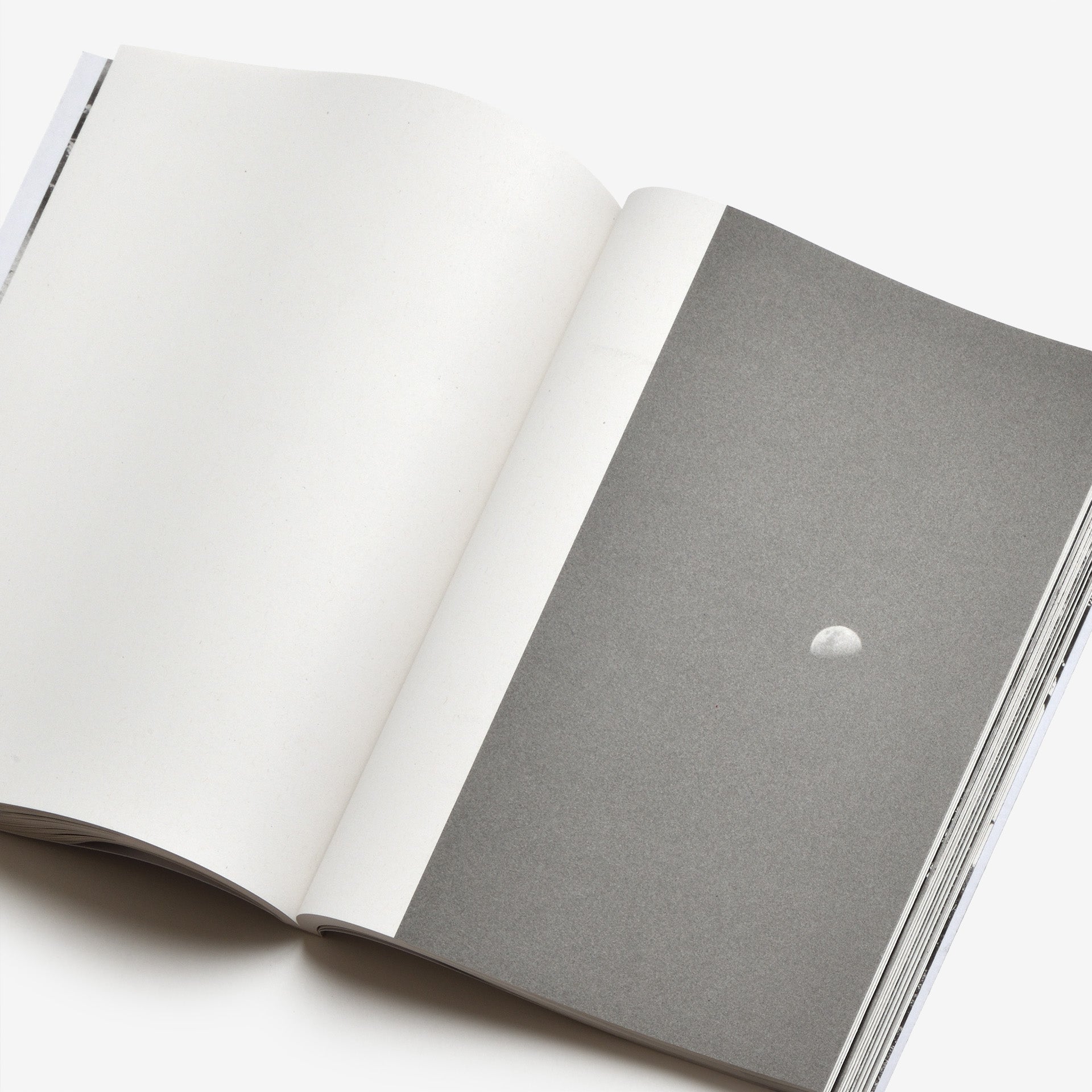 Bérangère Fromont: République