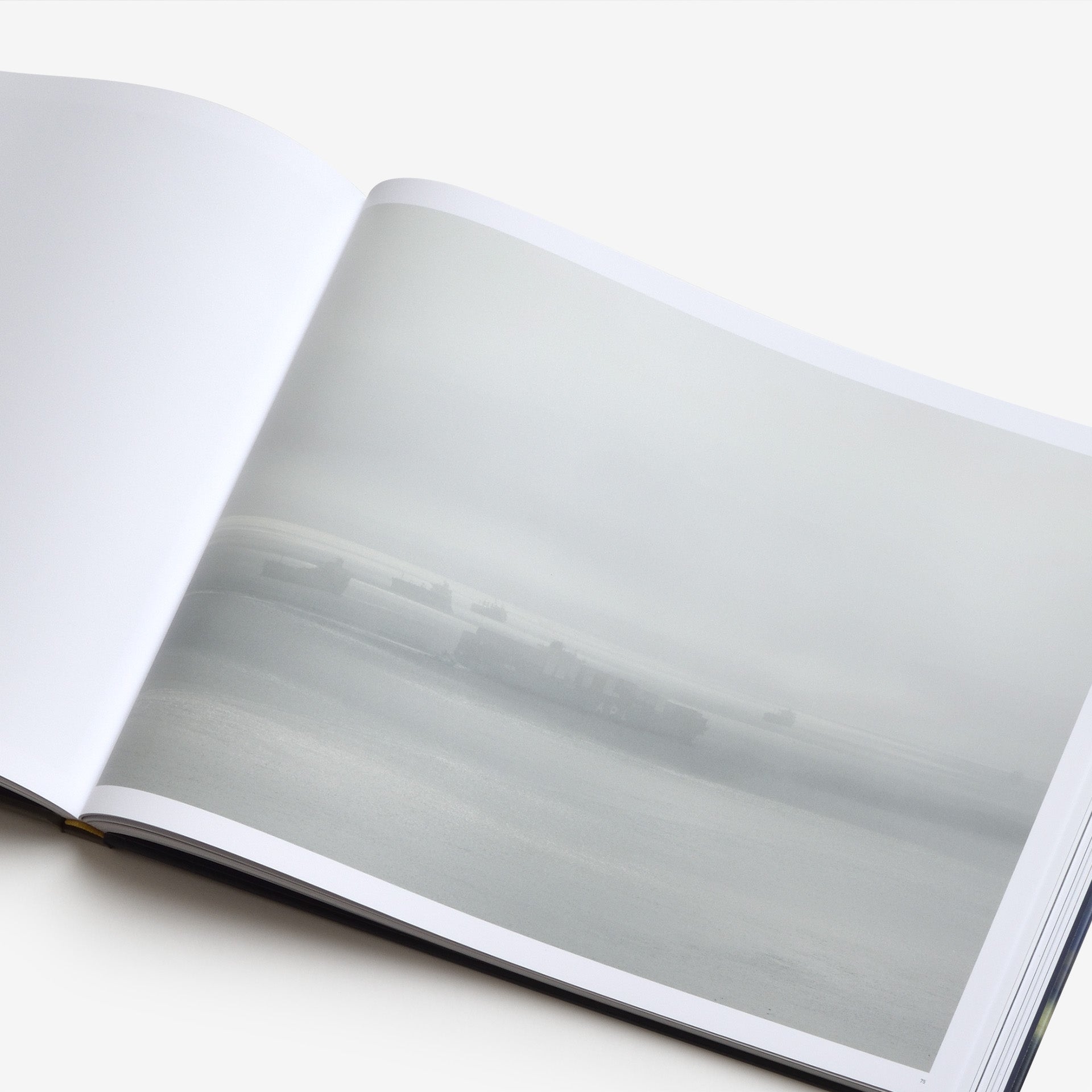 Richard Misrach: Cargo