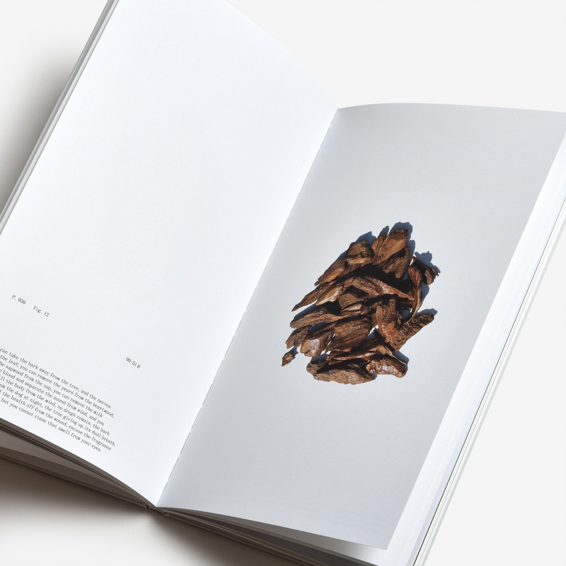 Frida Escobedo: The Book of Hours
