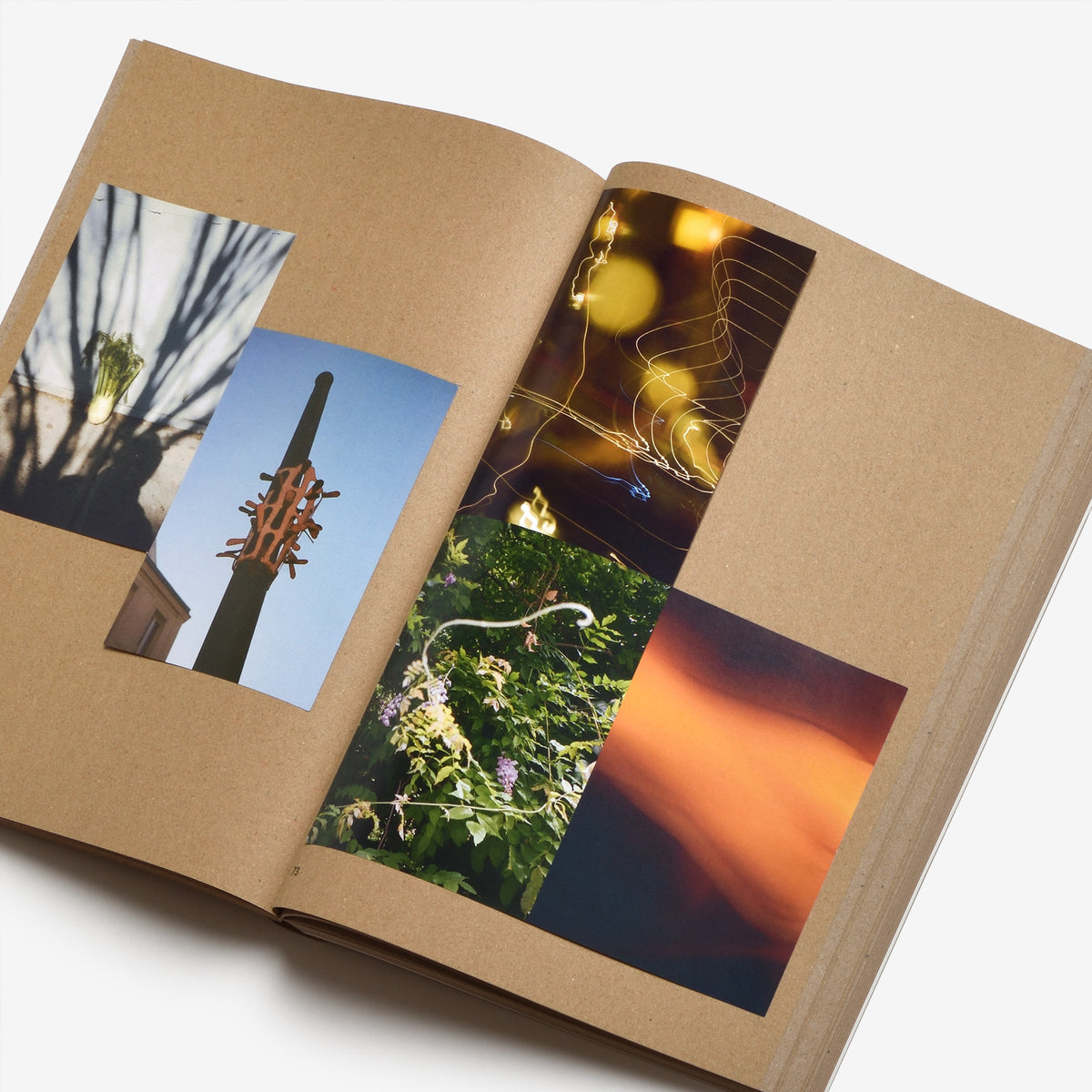 Widening the Lens: Photography, Ecology, and the Contemporary Landscape