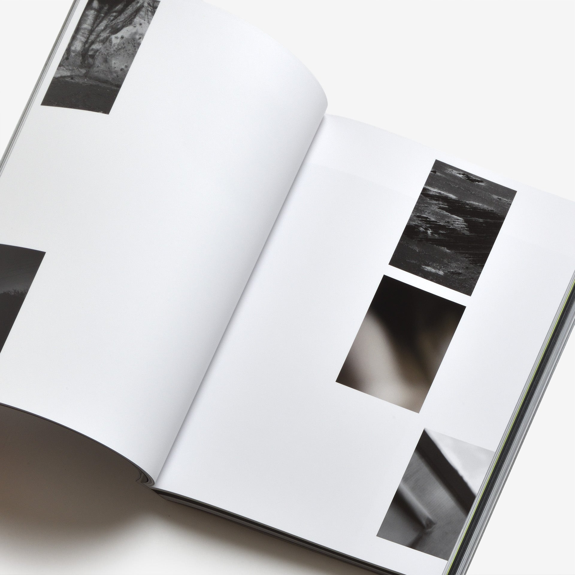 水谷太郎: 12000 | North East