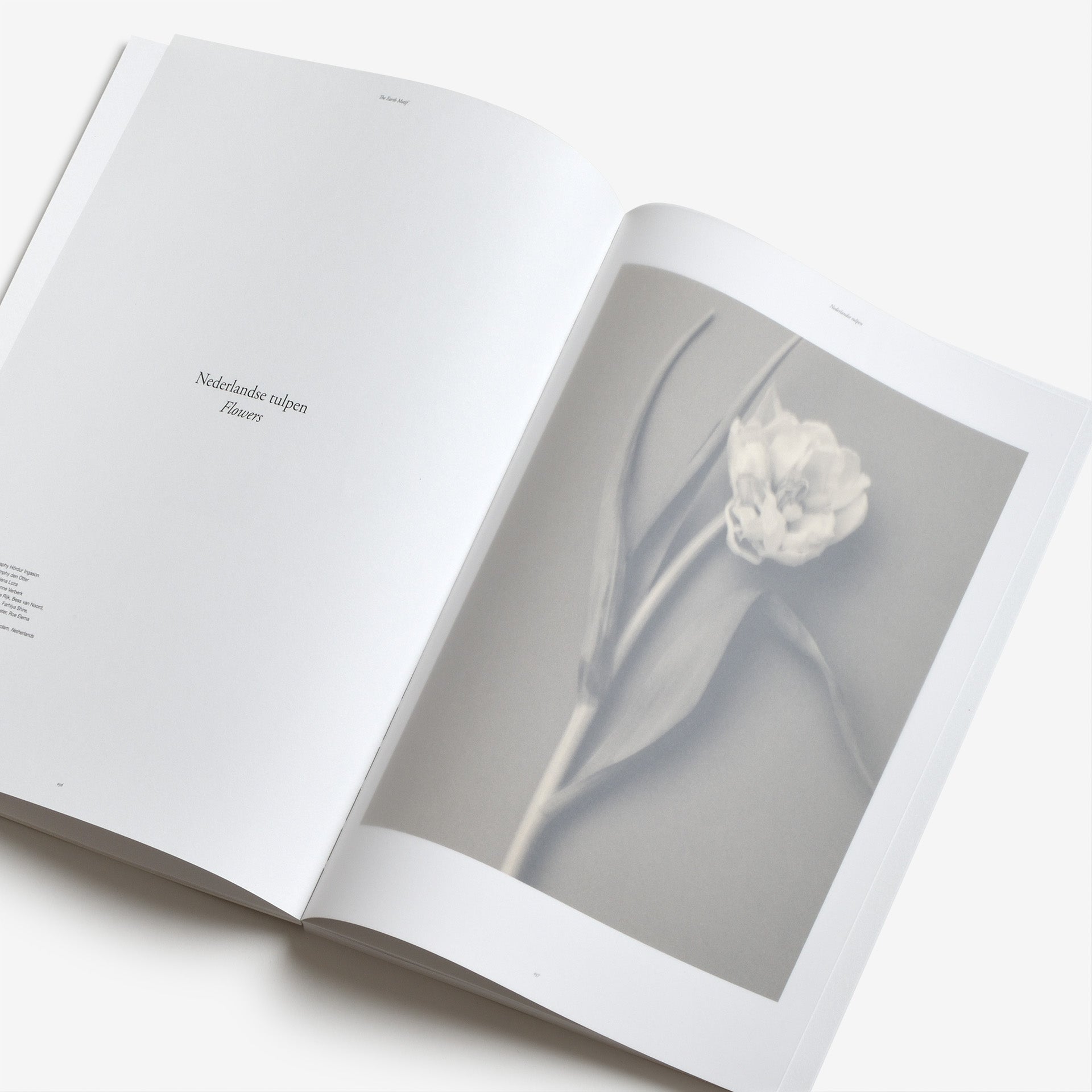 The Motif Magazine 003: The Earth Motif | North East