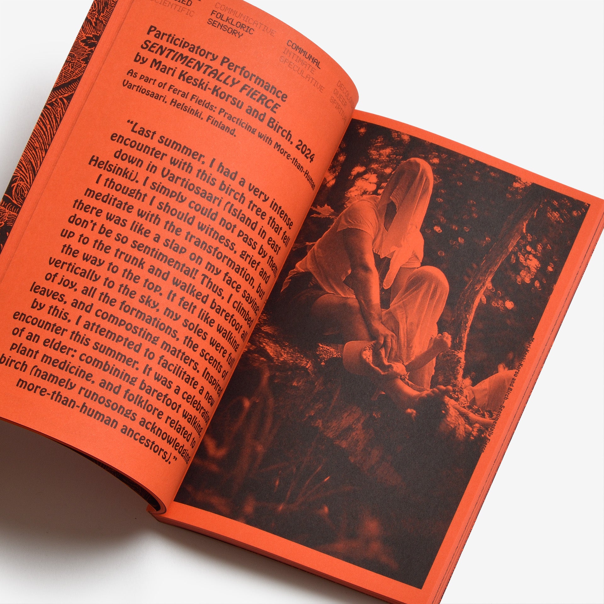 A Tree, A Reader on Arboreal Kinship