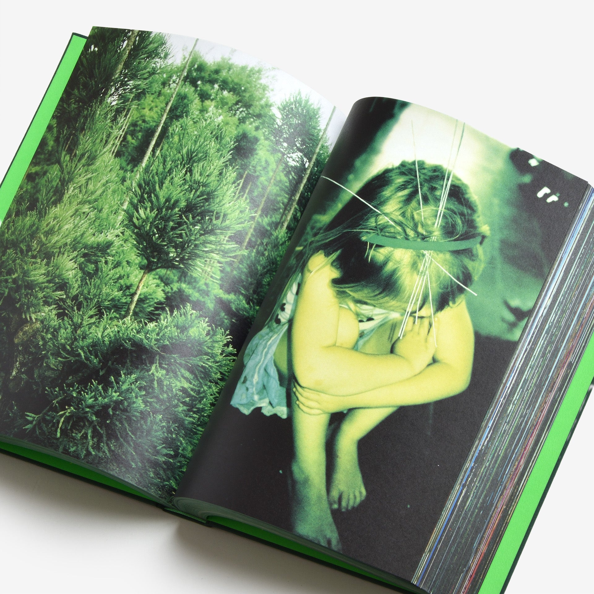 Misha Hollenbach: PSY LYF (A)