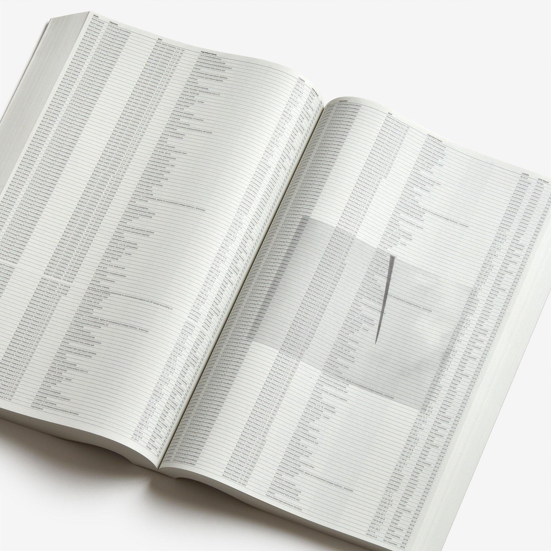 Sung Tieu: Without Full Disclosure