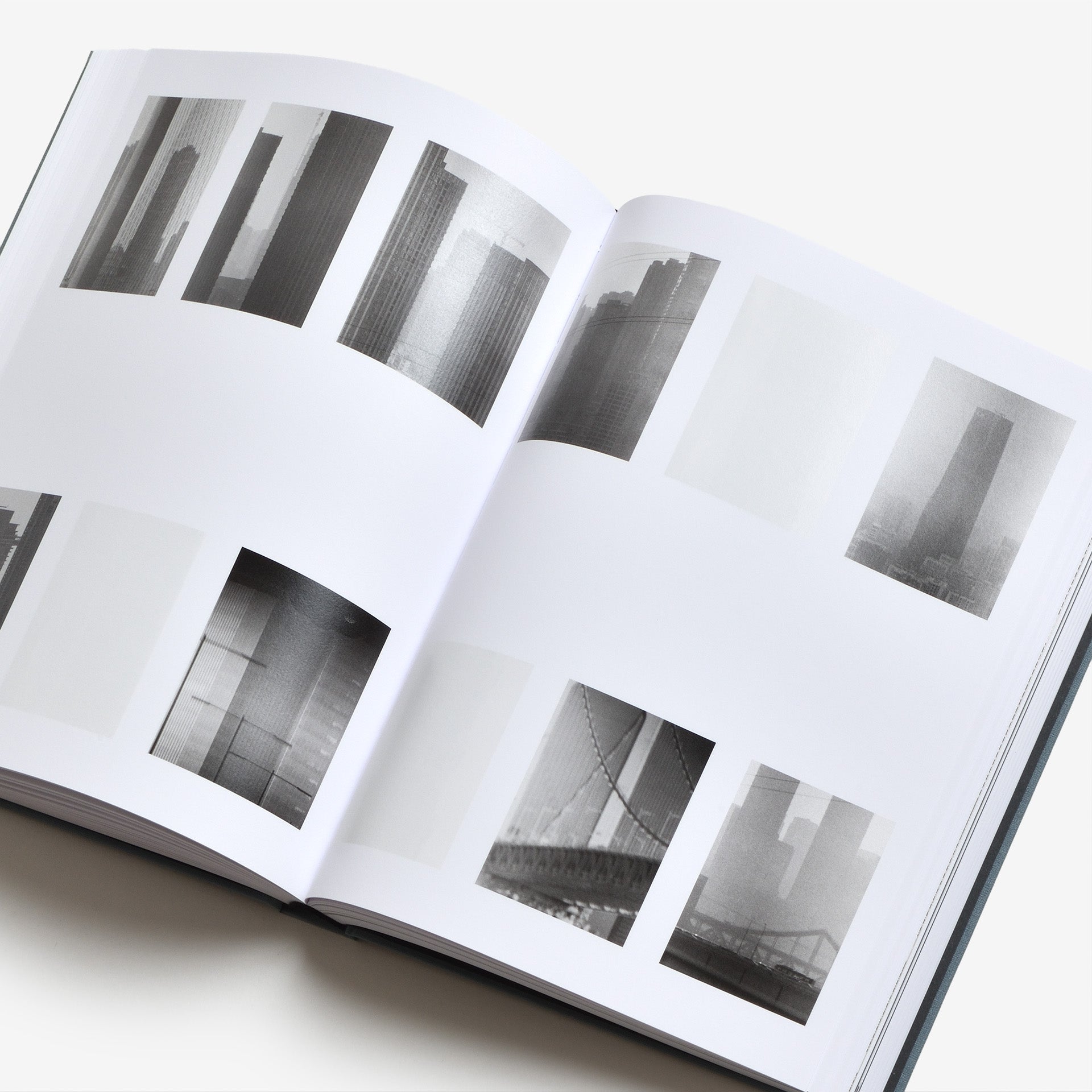 Daniel Shea: Distribution (Signed)