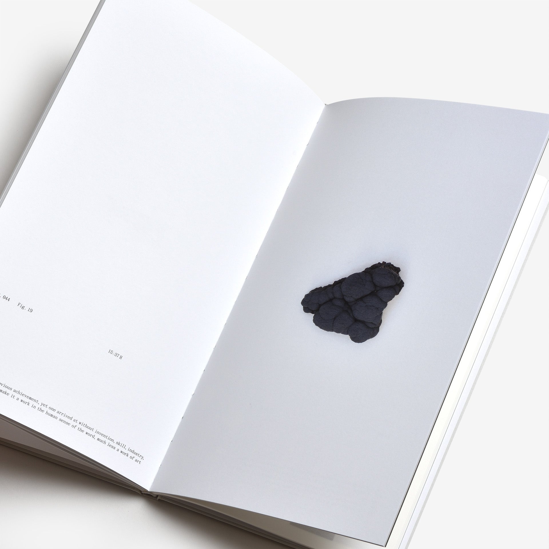 Frida Escobedo: The Book of Hours