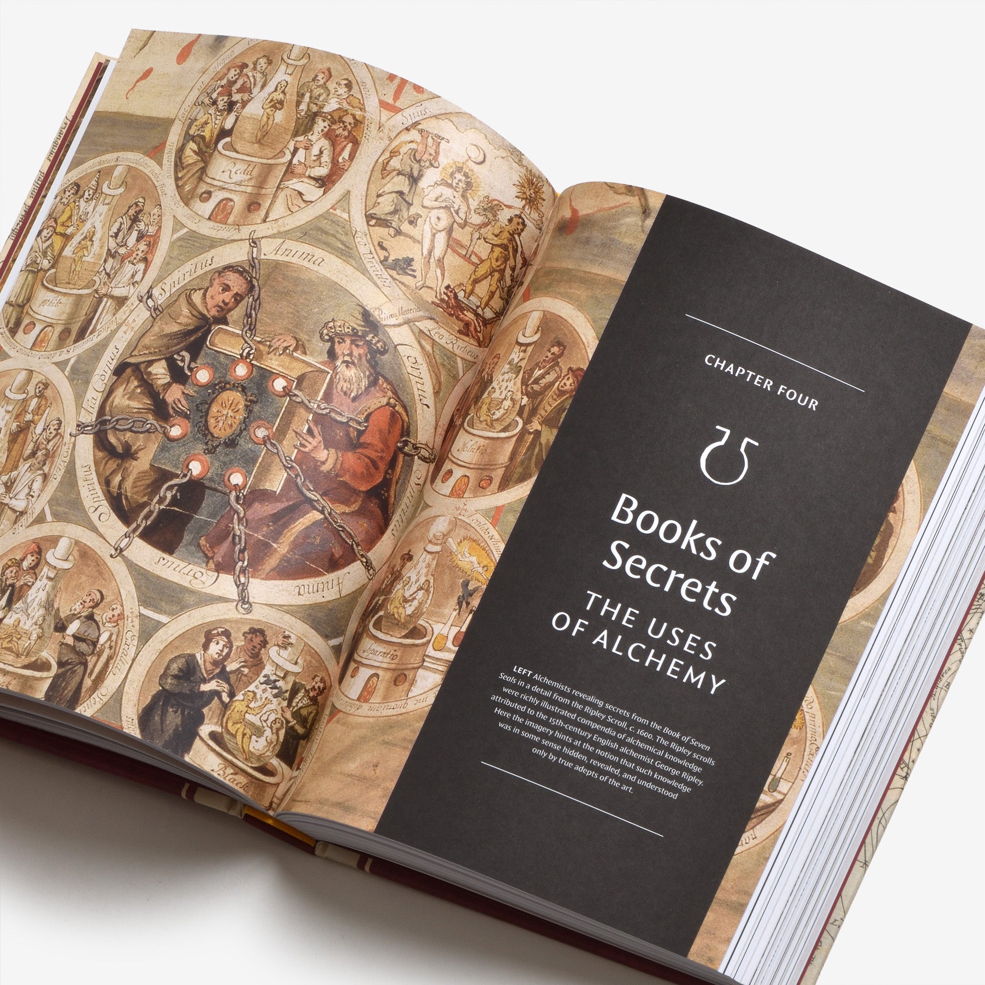 Alchemy: An Illustrated History of Elixirs, Experiments, and the