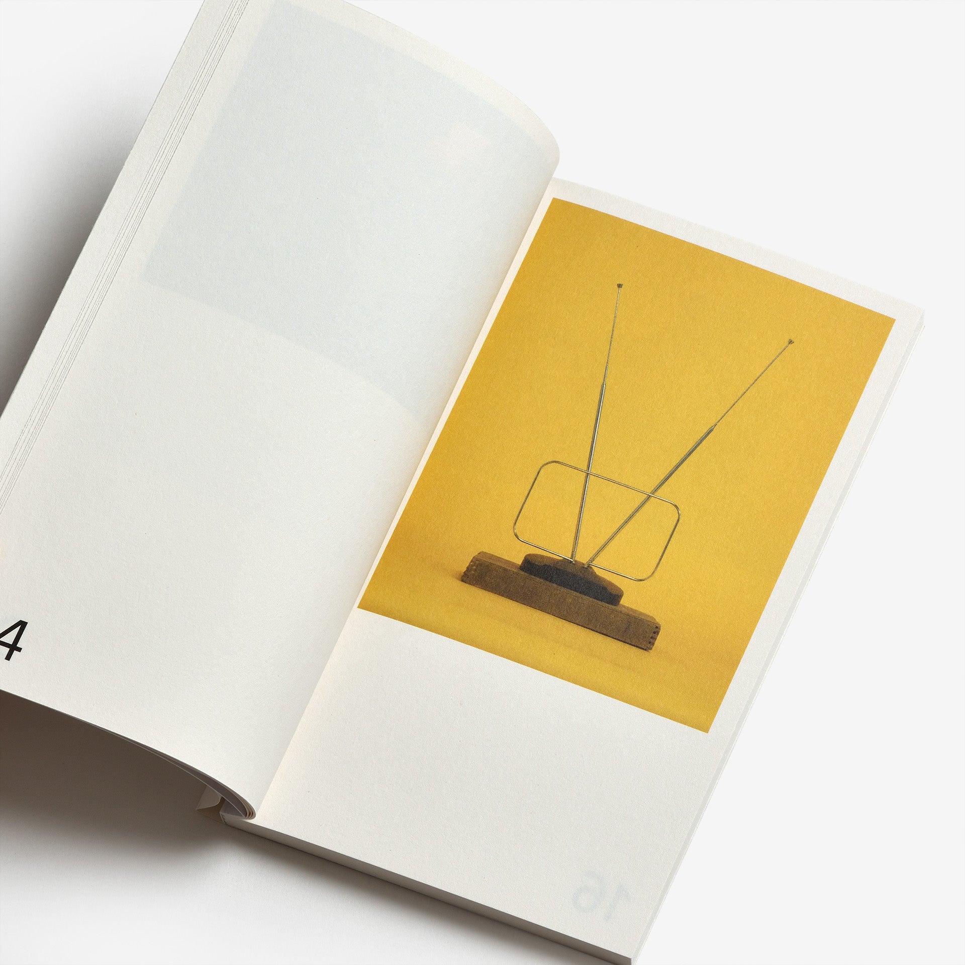 Lenard Smith: Melancholy Objects