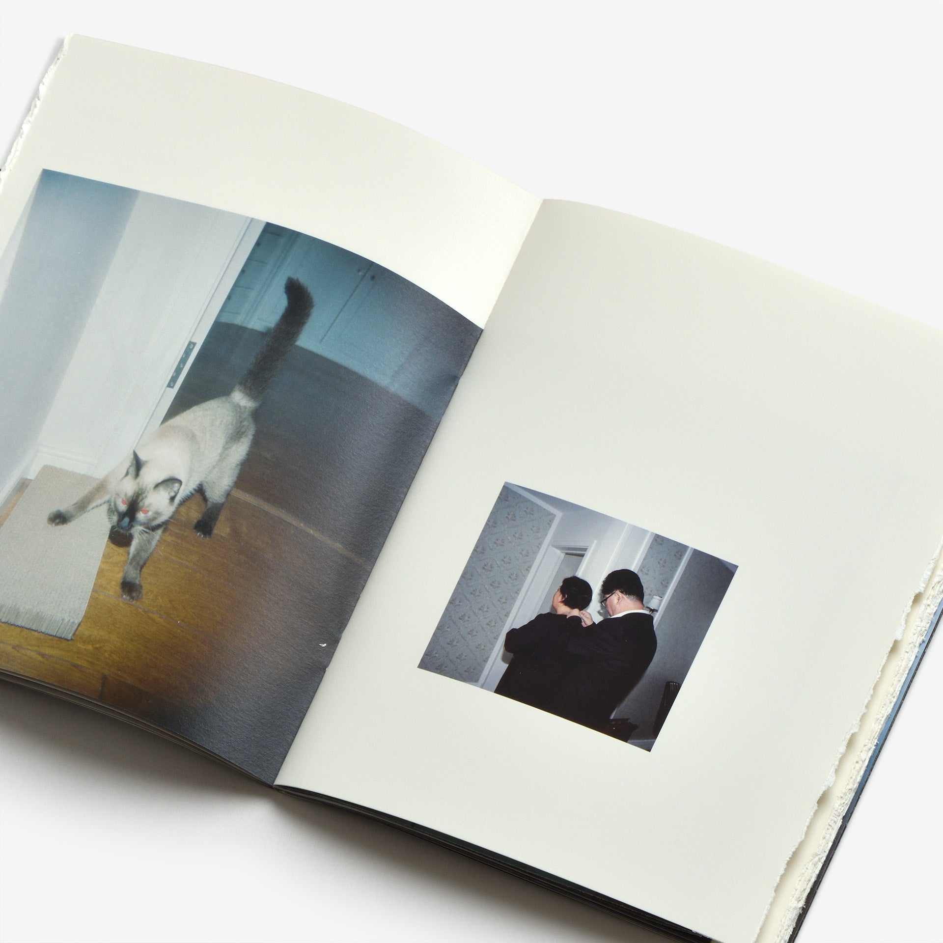 MITANI / I did nothing other than to tell them to smile（三谷 / ただ笑って、と伝えただけ）