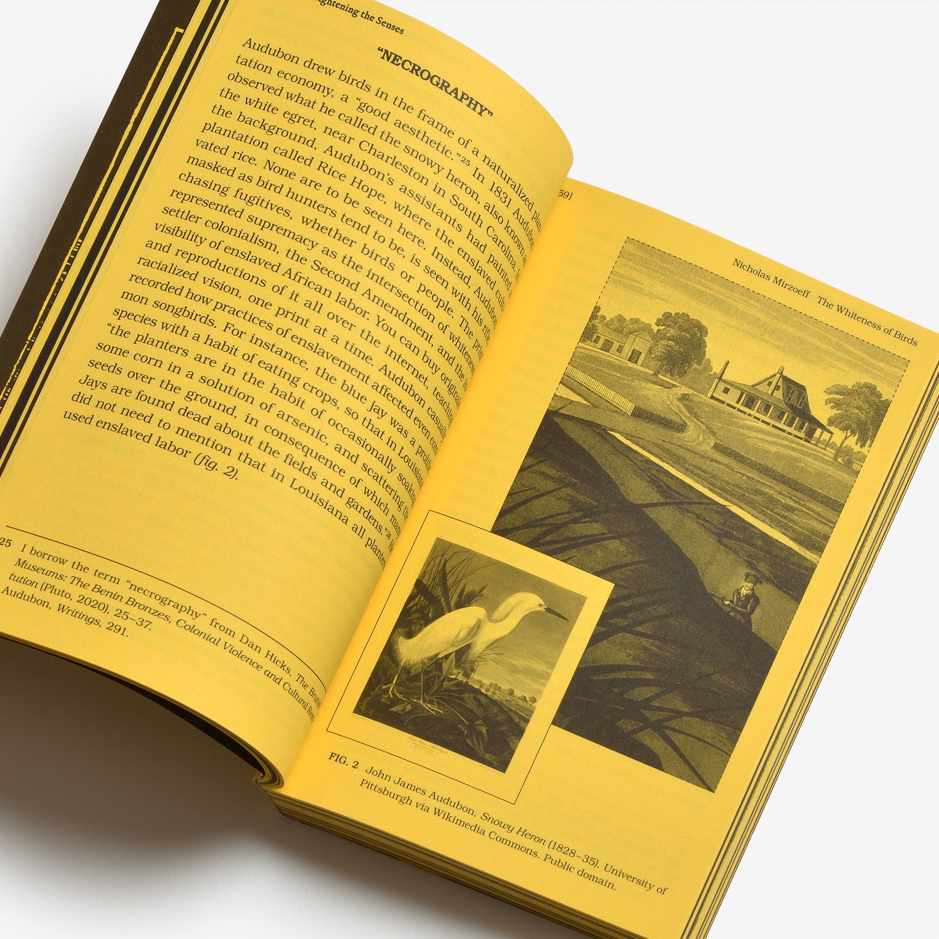 With a Bird, A Reader on Avian Kinship