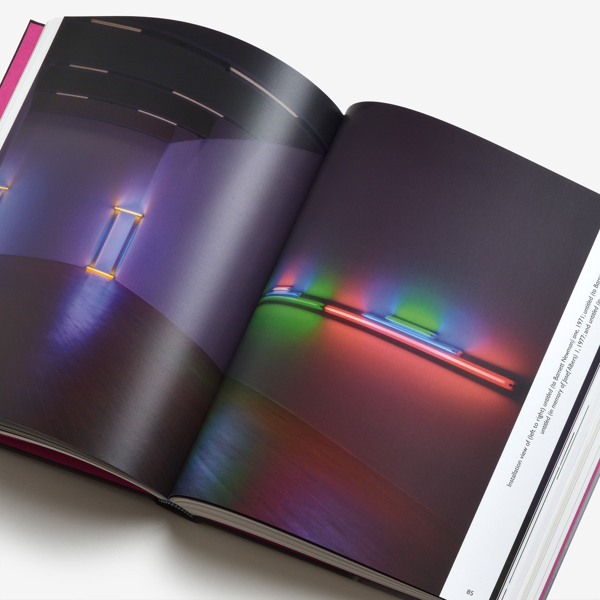 Dan Flavin: Dedications in Lights