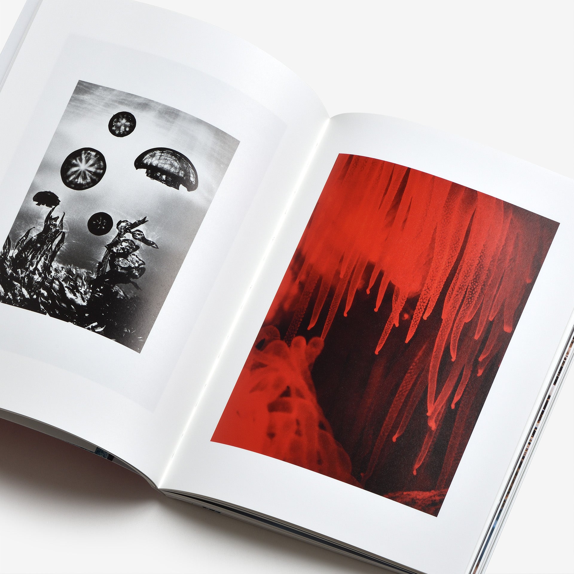 Taiyo Onorato & Nico Krebs: Water Column | North East