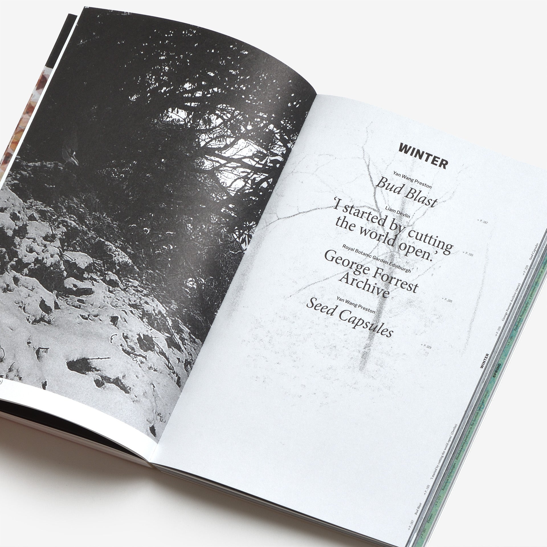 Yan Wang Preston: With love from an invader. – Rhododendrons, Empire, China and Me