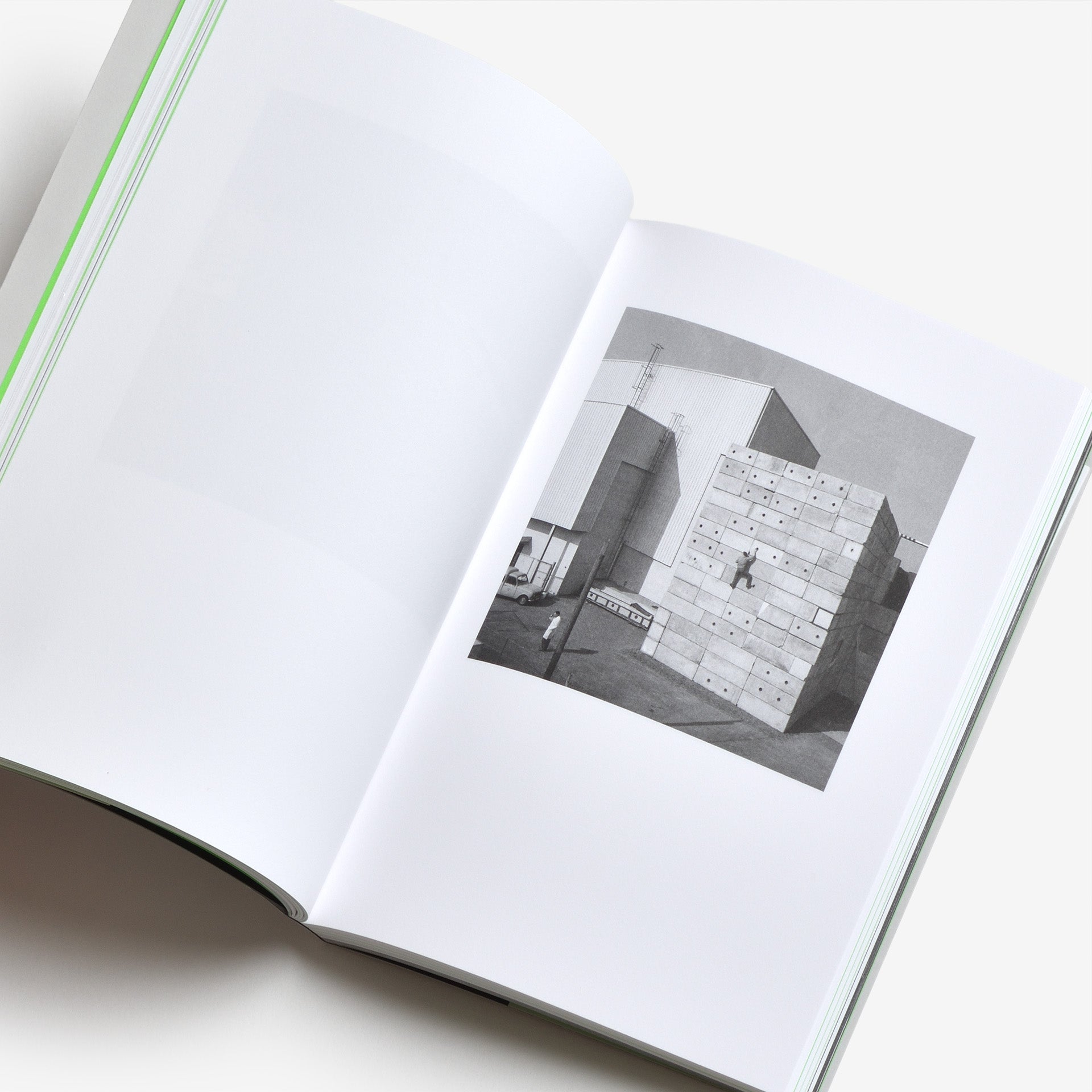 David Fathi: Wolfgang