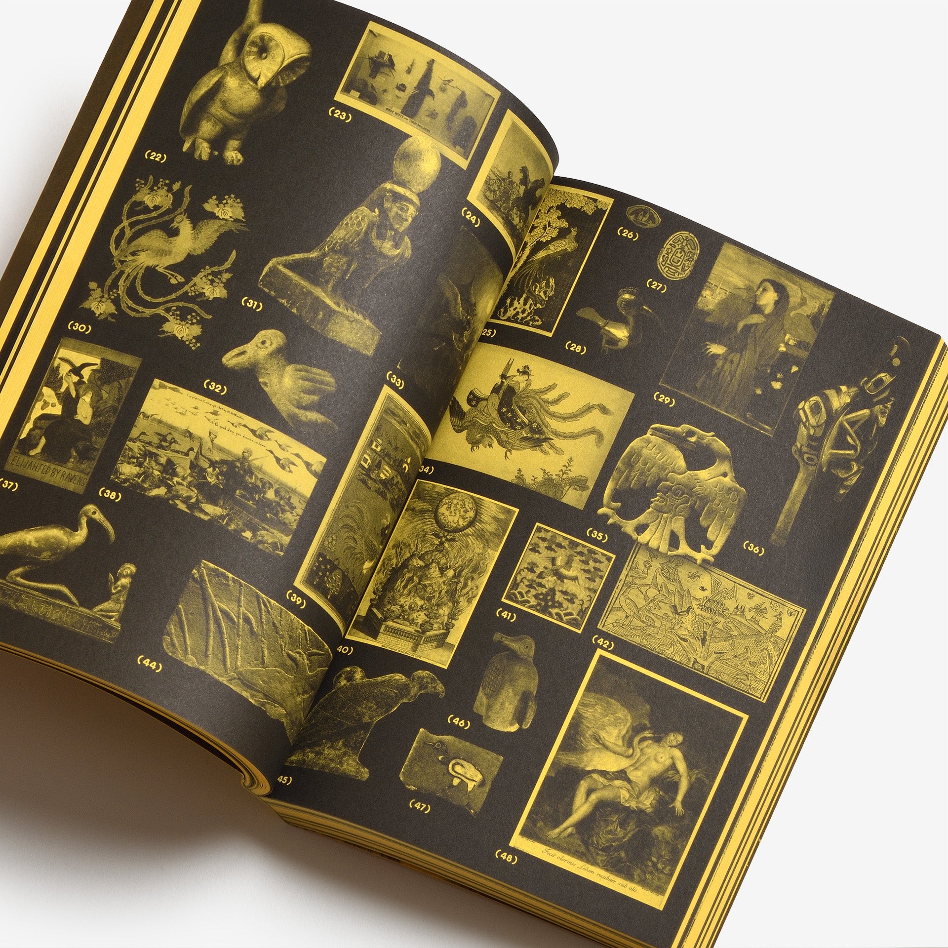 With a Bird, A Reader on Avian Kinship