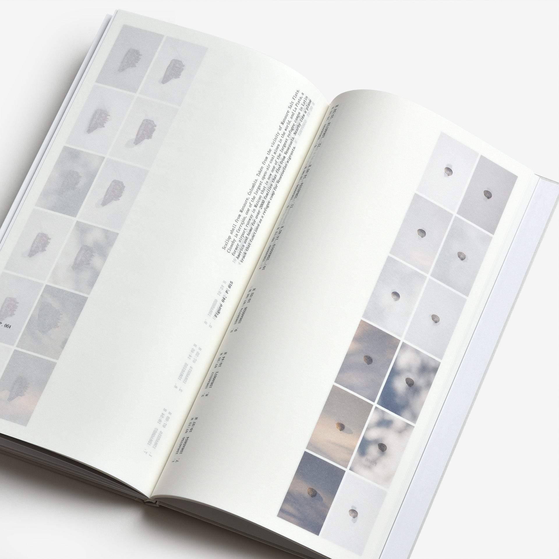 Frida Escobedo: The Book of Hours