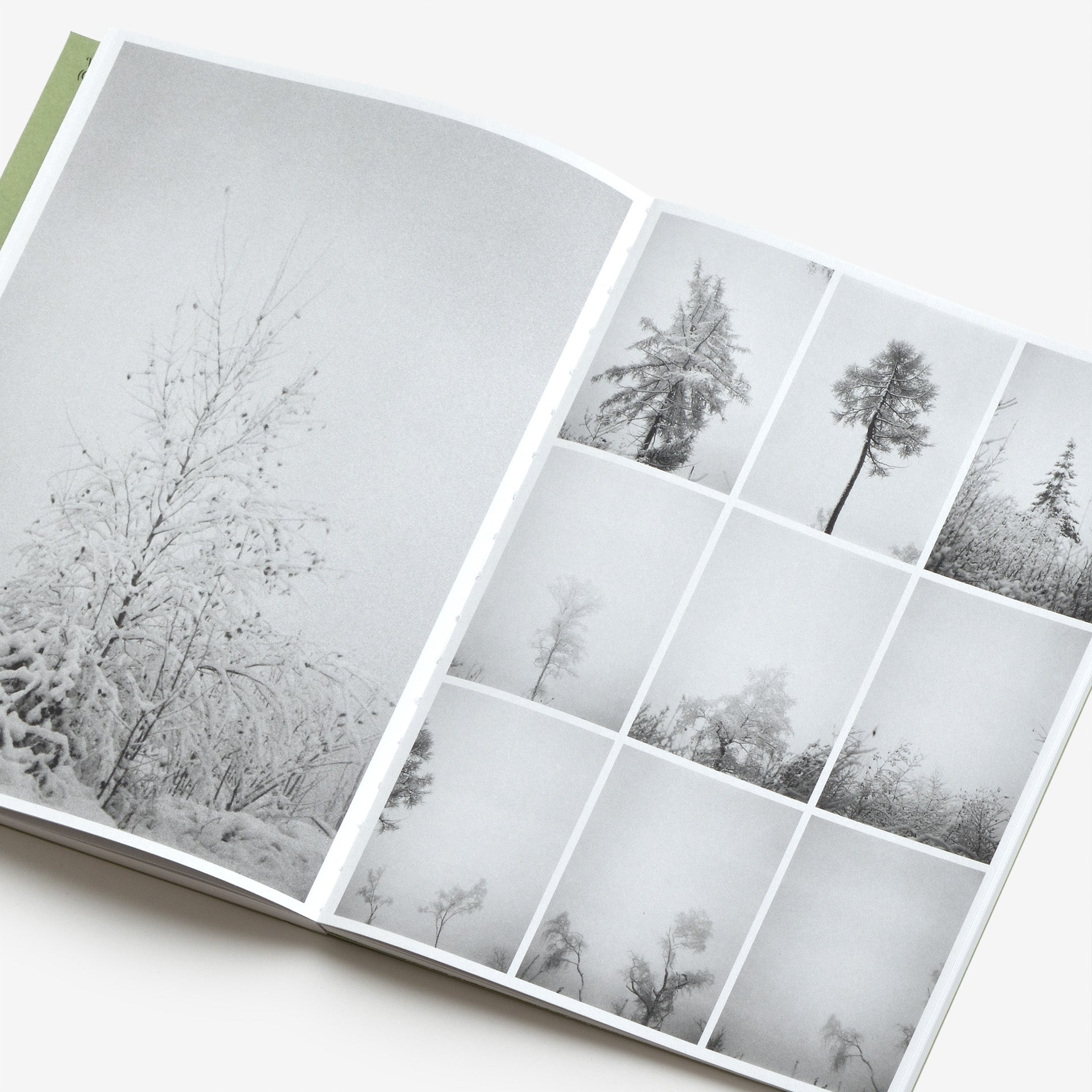 Bas Ketelaars: Edges of Landscape