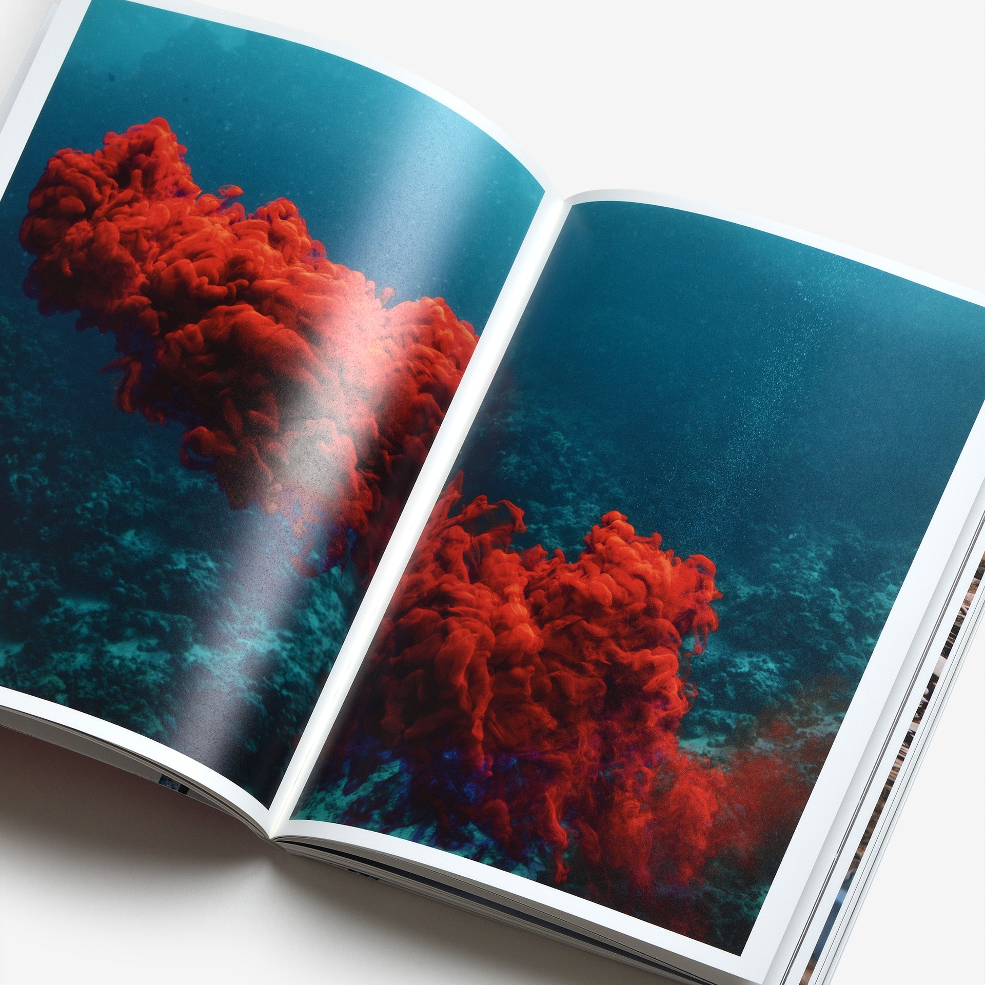 Taiyo Onorato & Nico Krebs: Water Column | North East