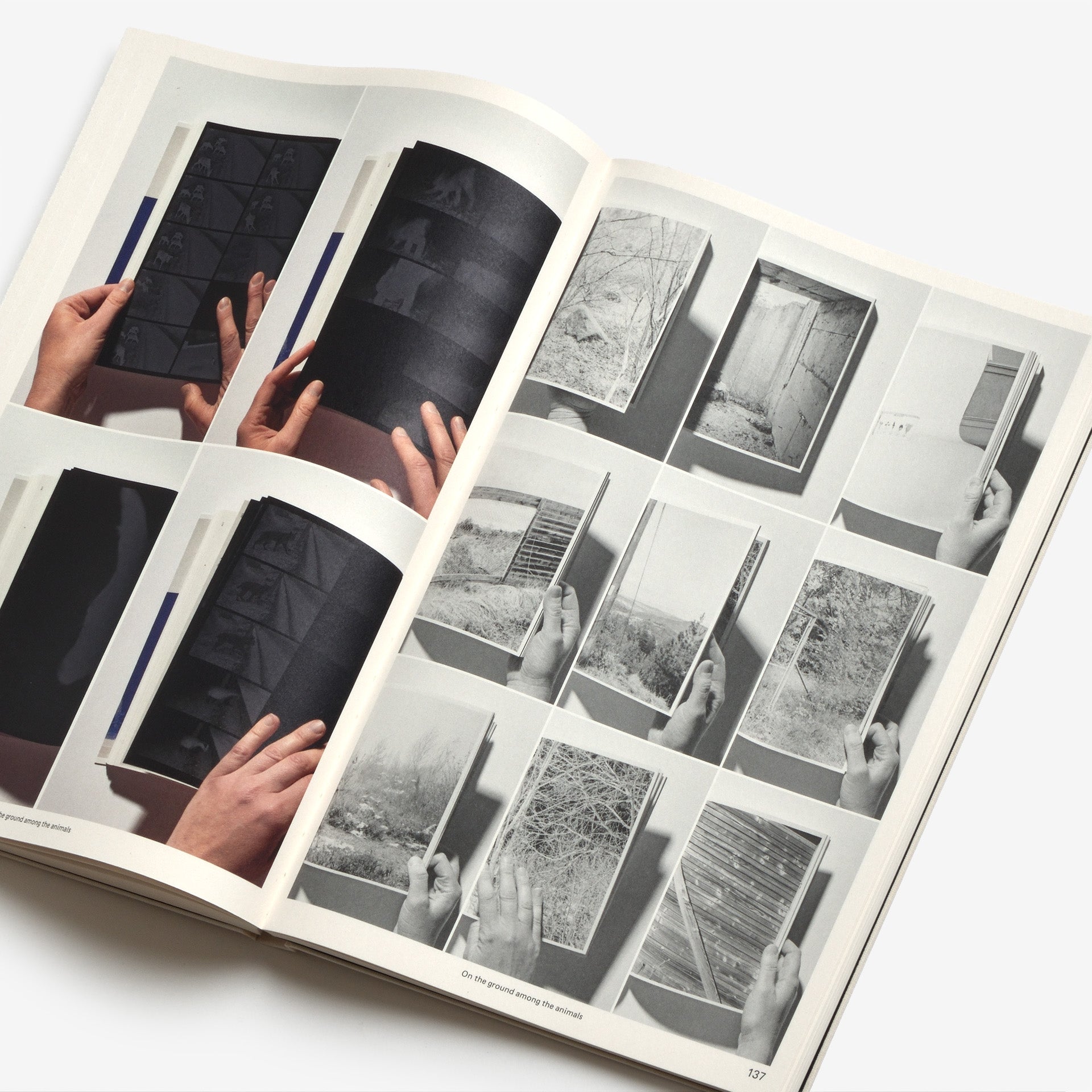The Best Dutch Book Designs 2024 | North East