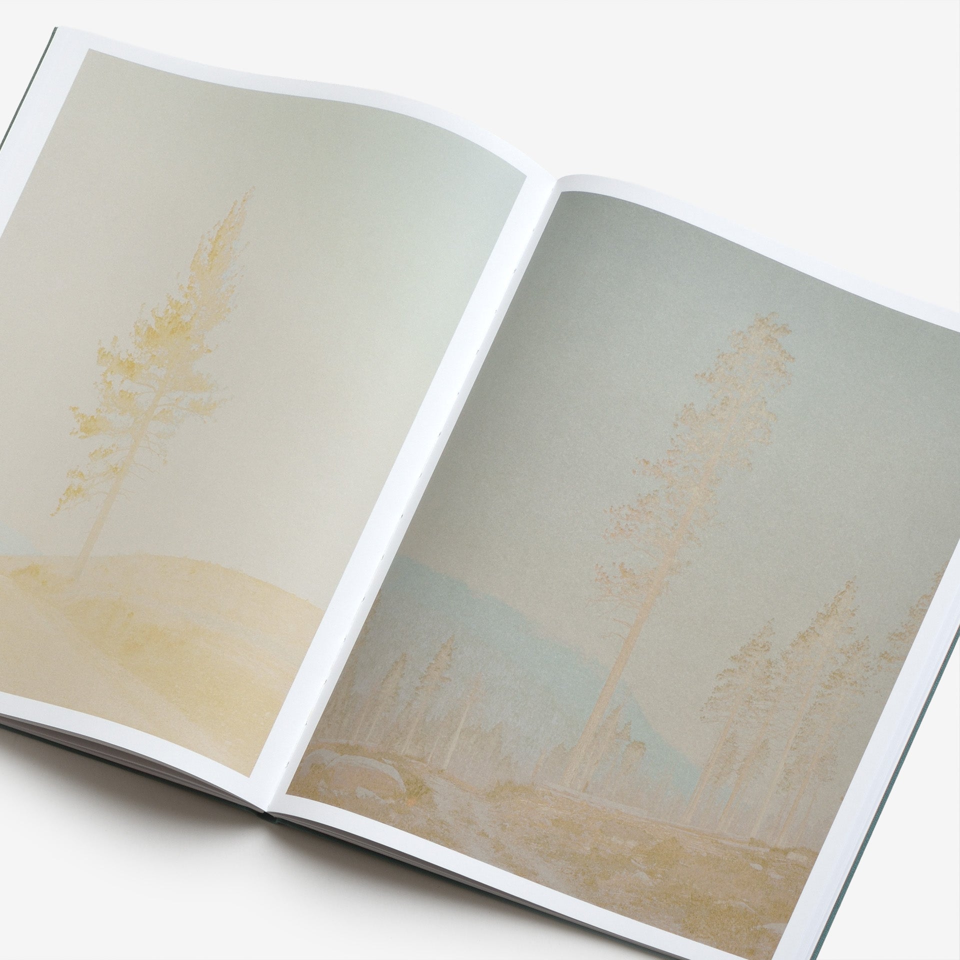 Aaron Rothman: The Sierra