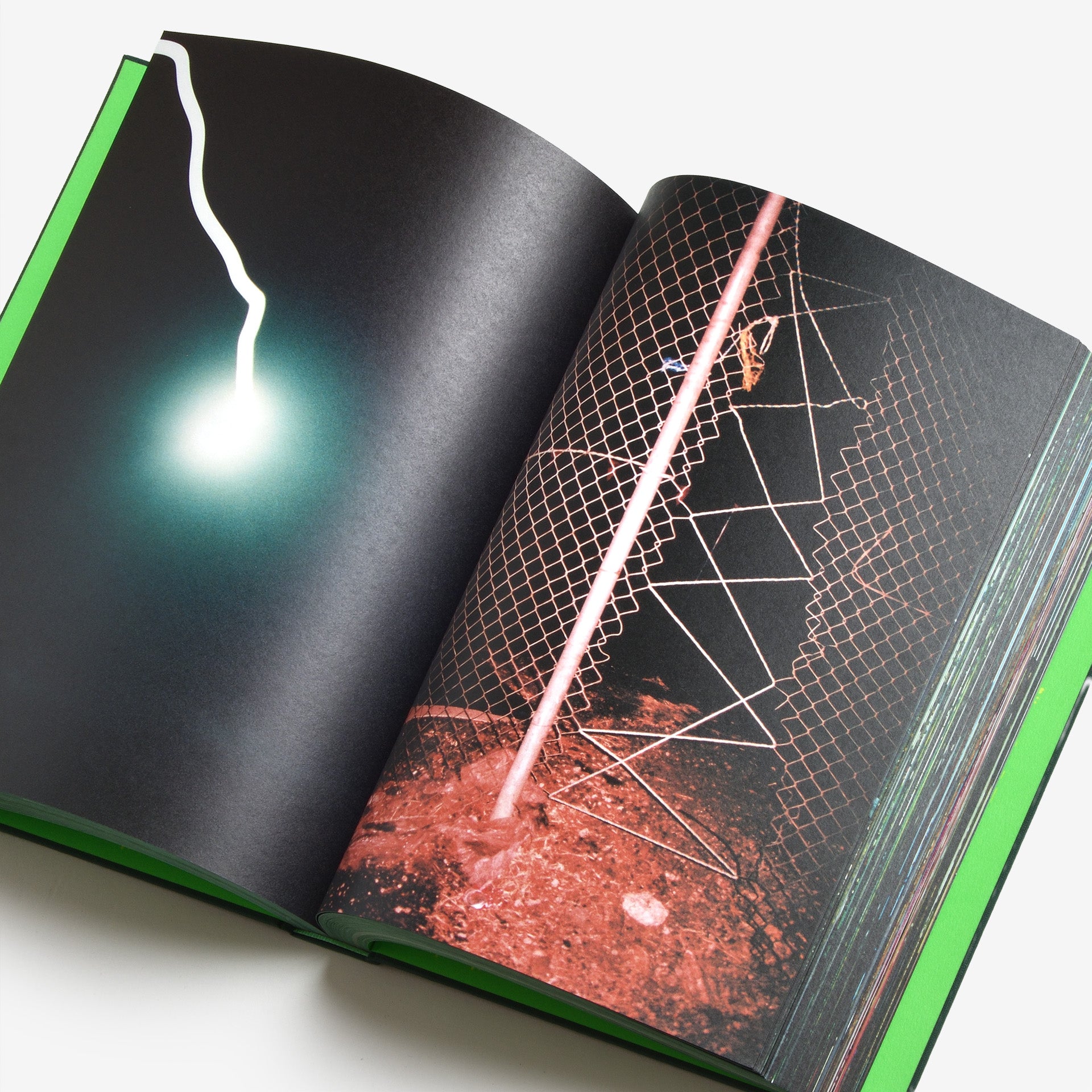 Misha Hollenbach: PSY LYF (C)