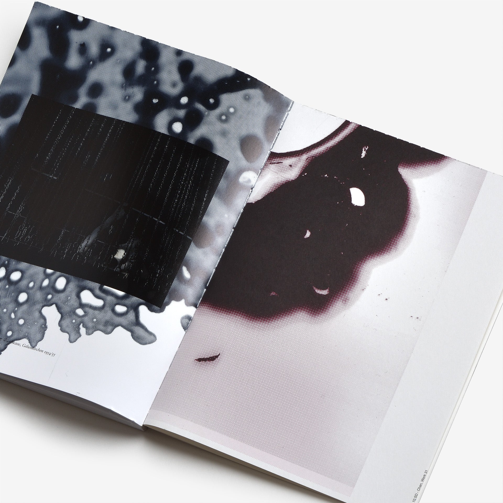 Steidl–Werk No.31: Ghosts in the Machine | North East