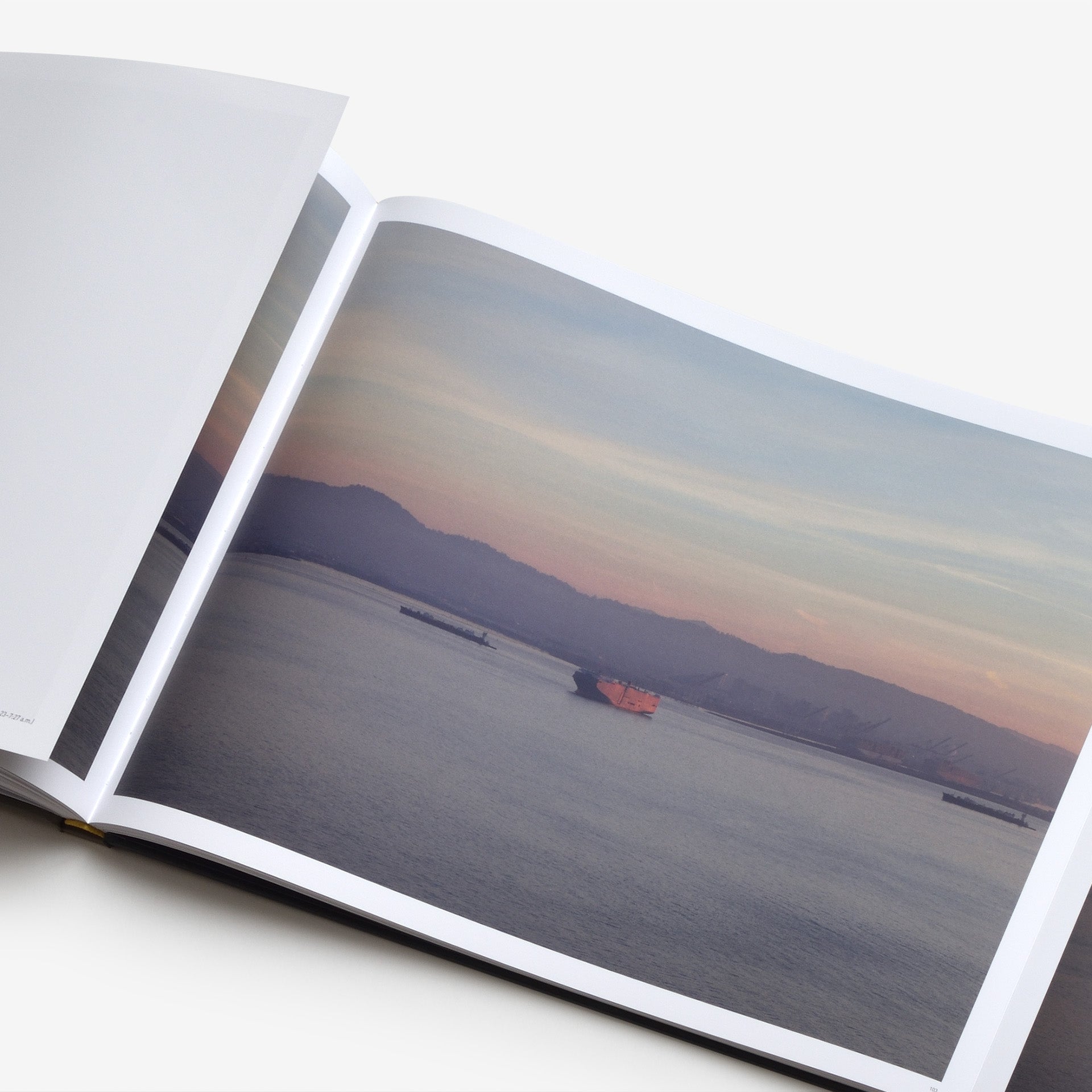 Richard Misrach: Cargo