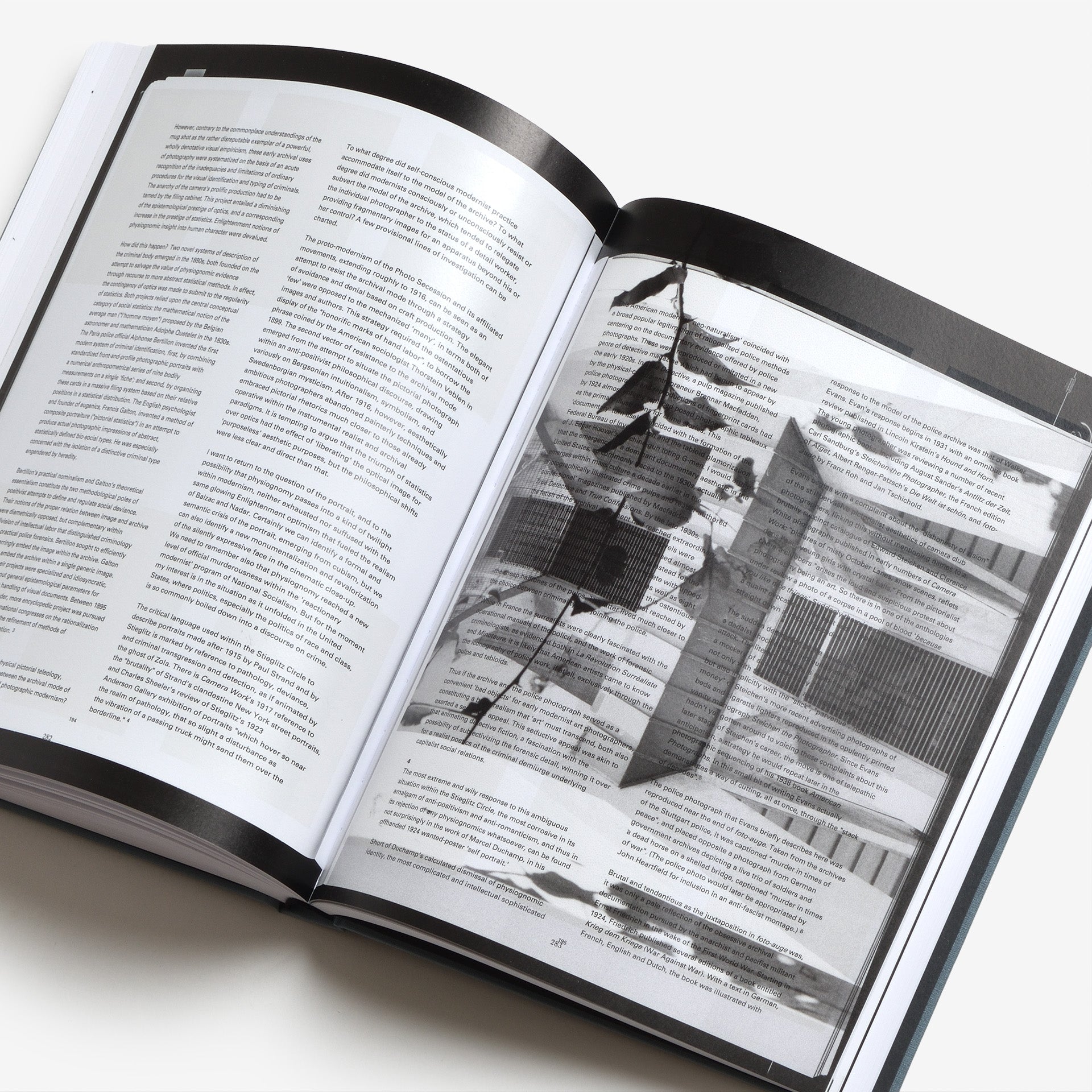 Daniel Shea: Distribution (Signed)