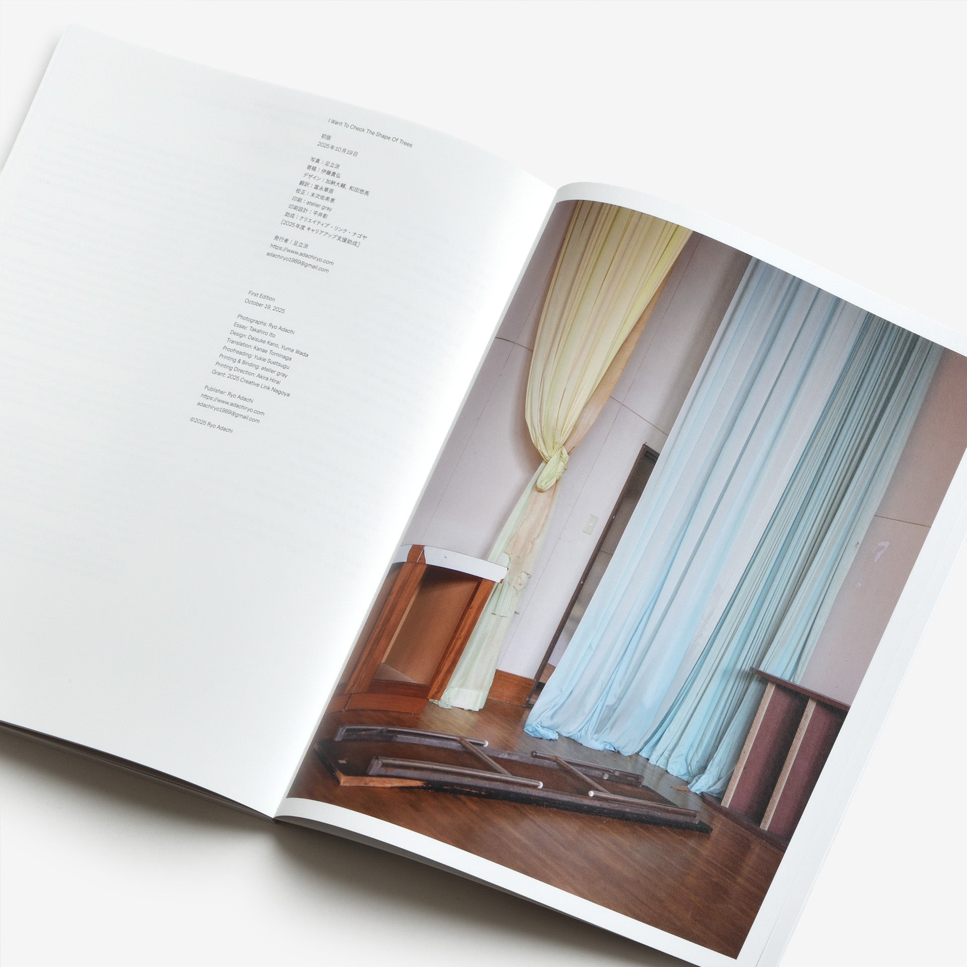 足立涼: I Want To Check The Shape Of Trees