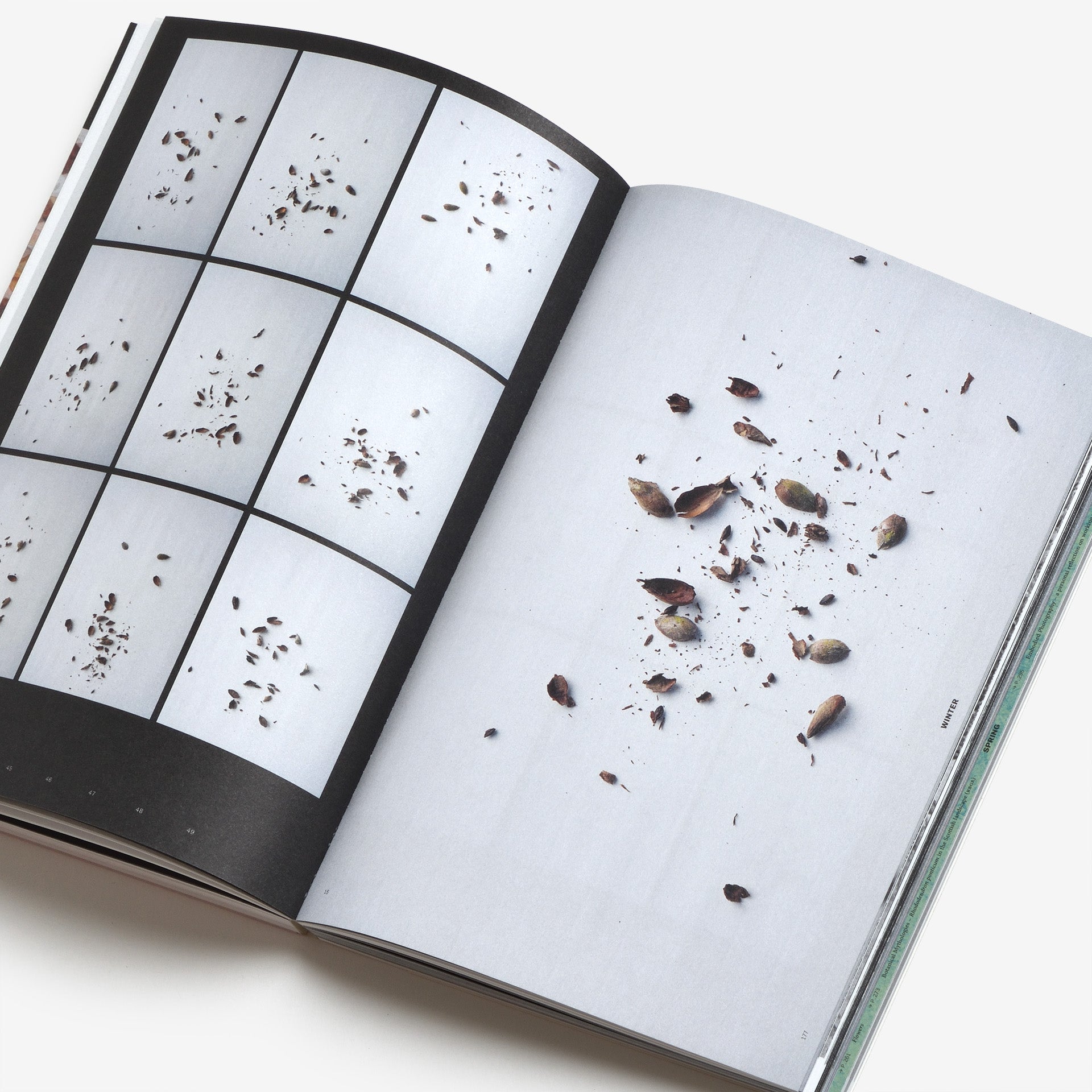 Yan Wang Preston: With love from an invader. – Rhododendrons, Empire, China and Me