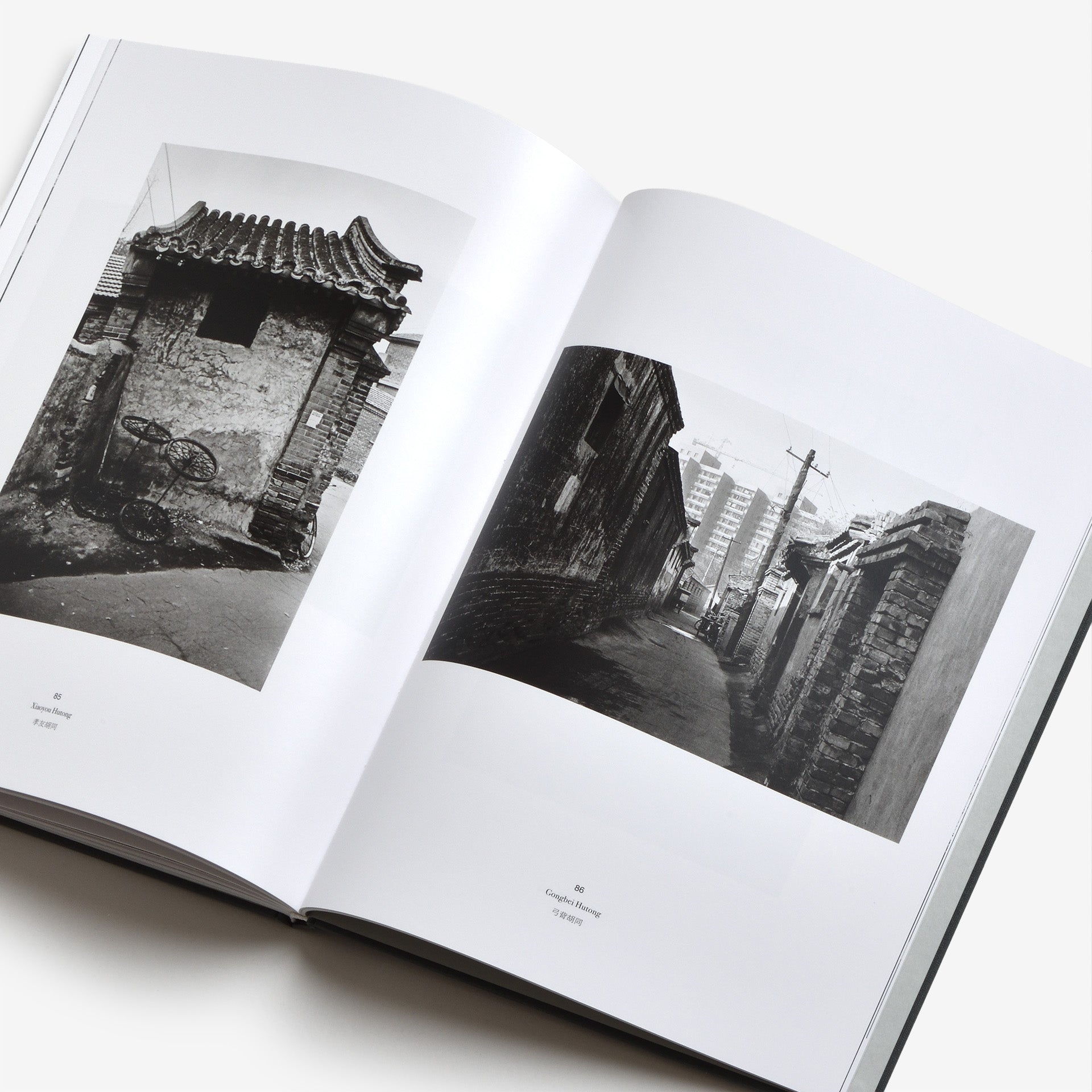 Xu Yong: Hutong 101 Photos