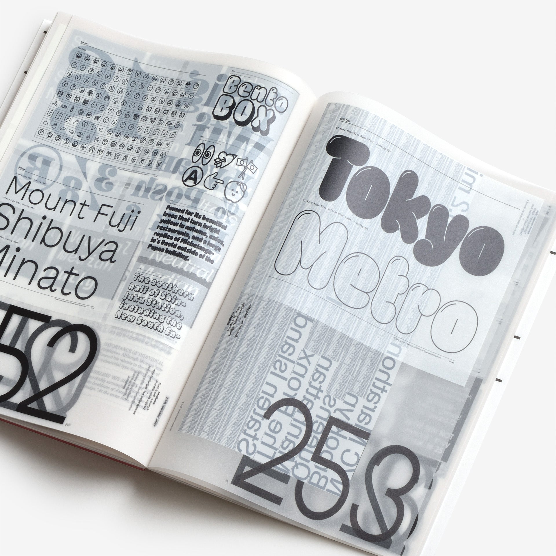 Support Independent Type II | North East