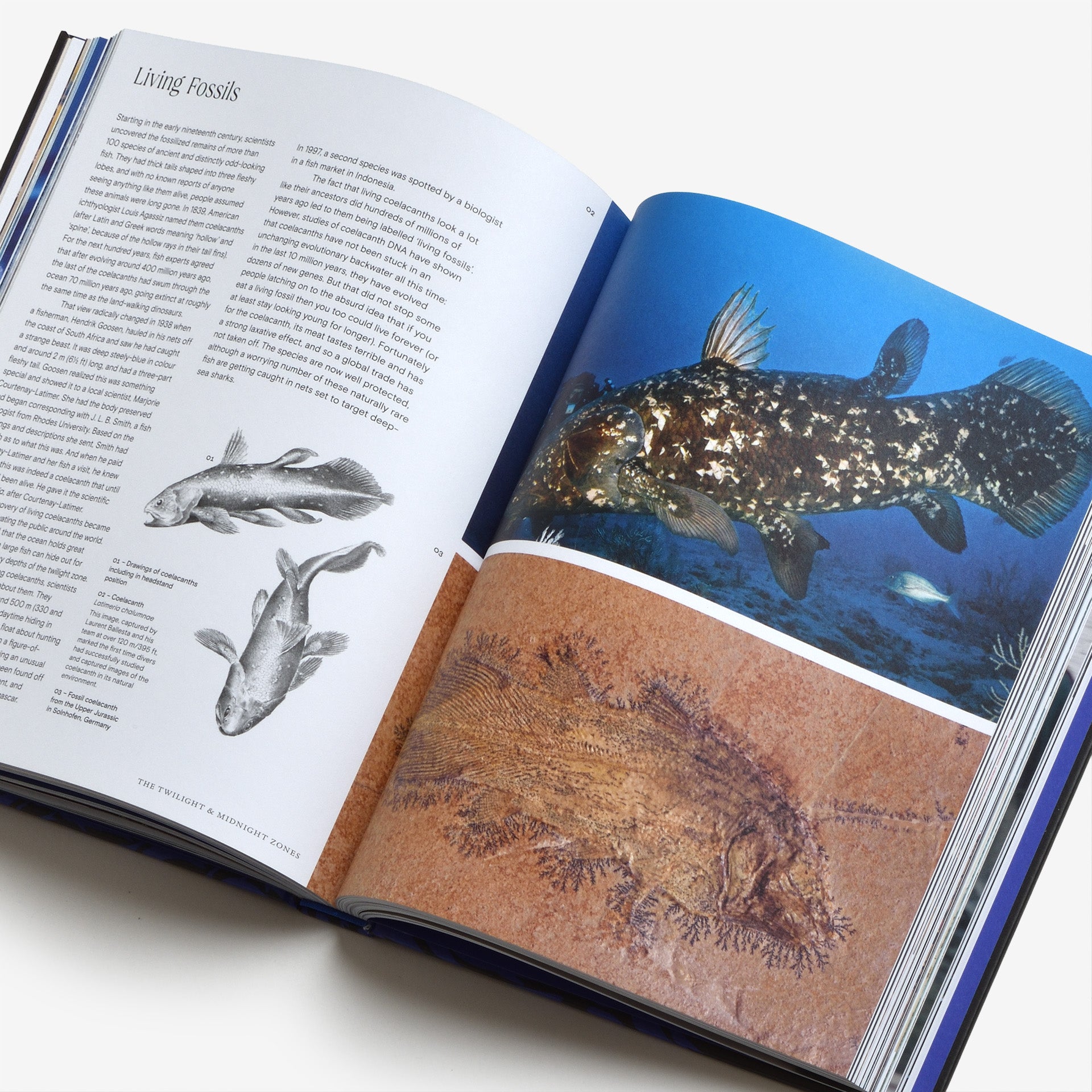 洋書 Sea and Smoke Ocean: From the Shore to the Abyss | North East