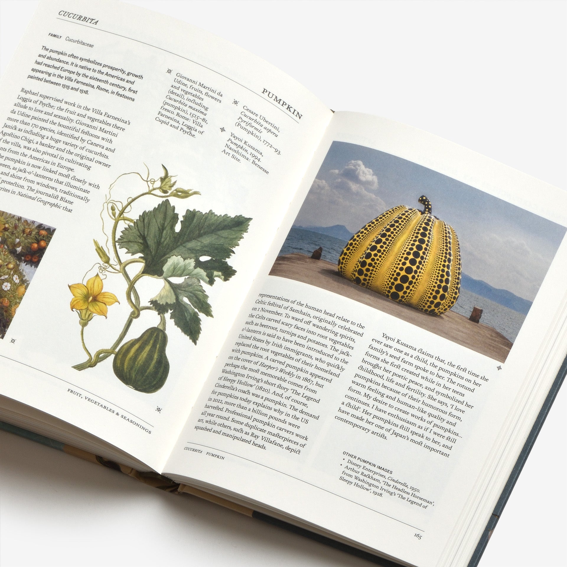 The Secret Language of Plants: Art, Nature & Symbolism | North East