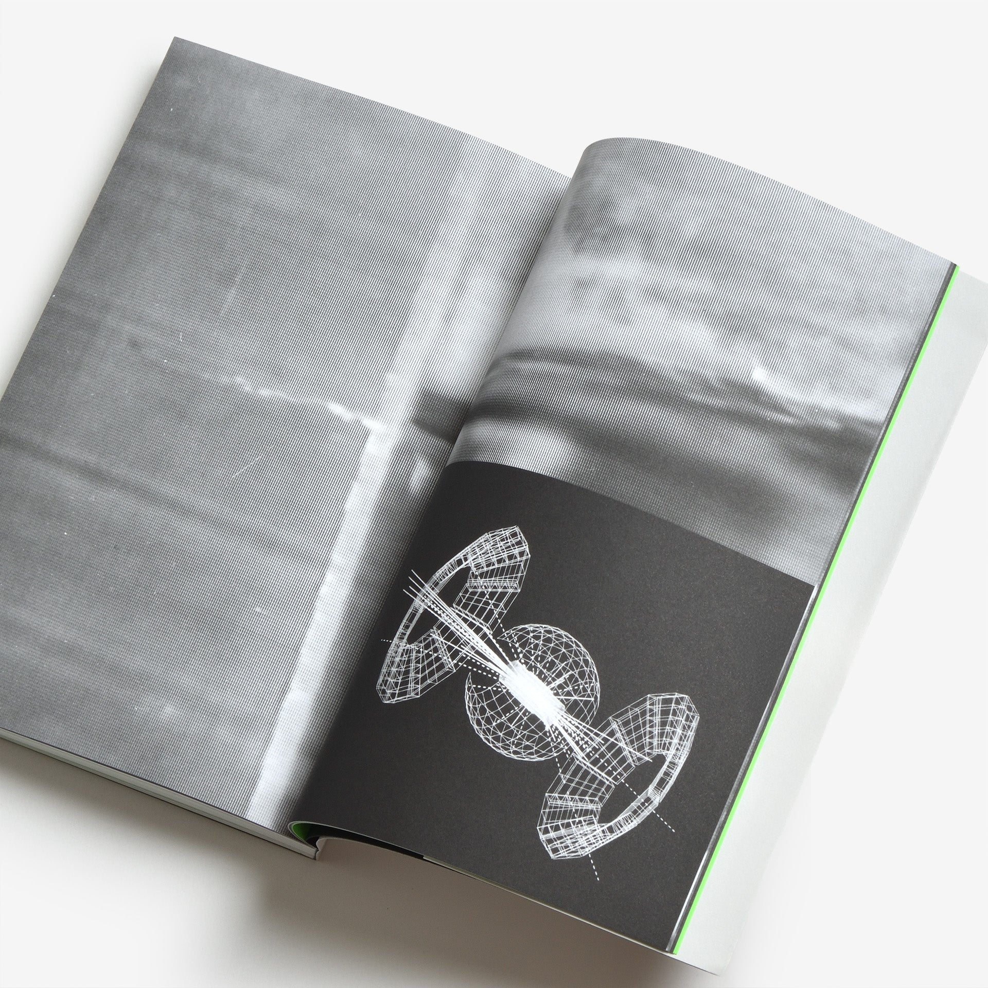 David Fathi: Wolfgang