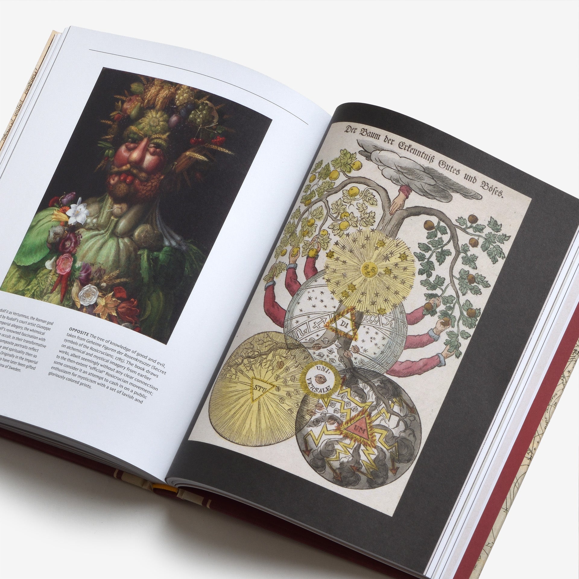 Alchemy: An Illustrated History of Elixirs, Experiments, and the Birth of Modern Science