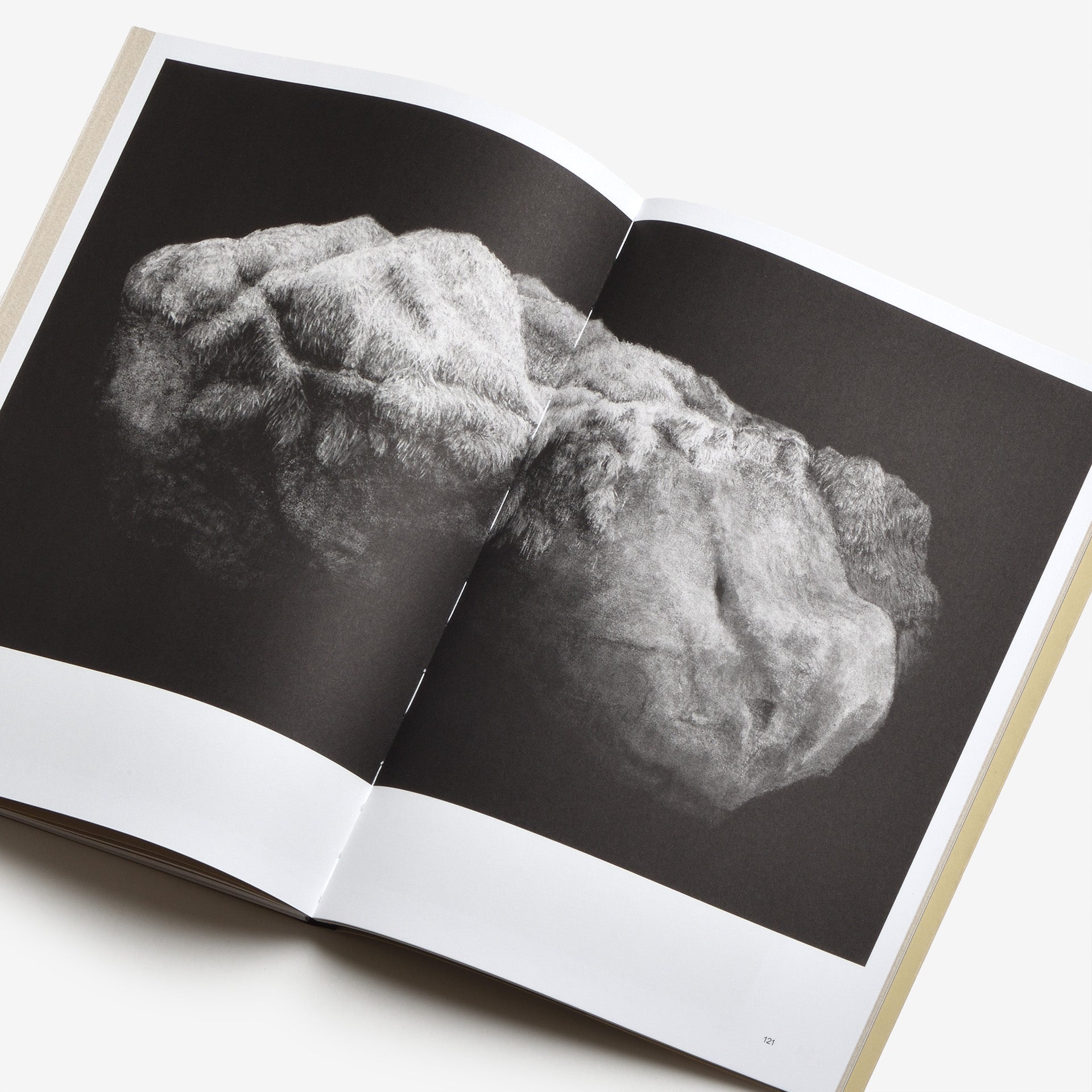 Sabina Timmermans: Sharing the Land