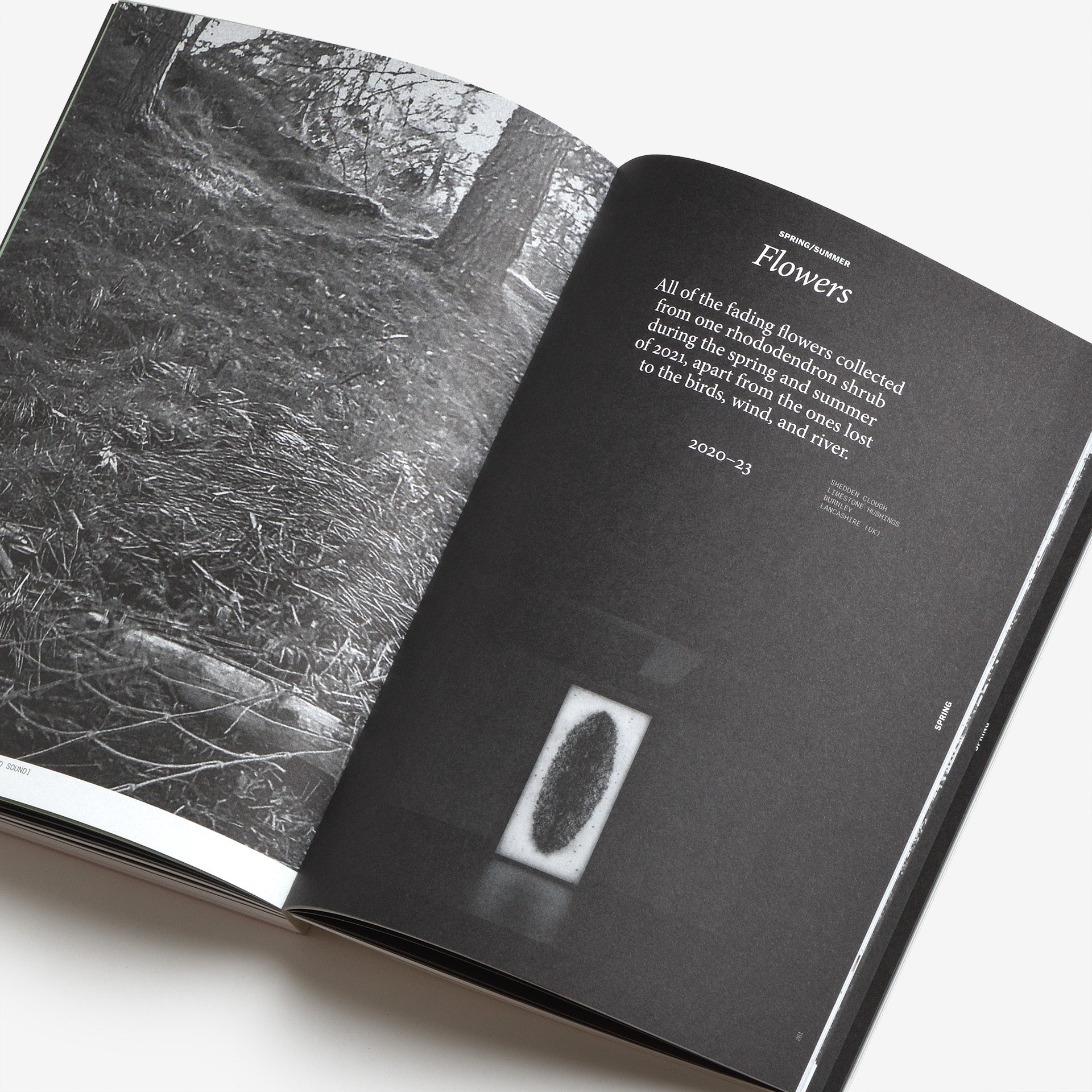 Yan Wang Preston: With love from an invader. – Rhododendrons, Empire, China and Me