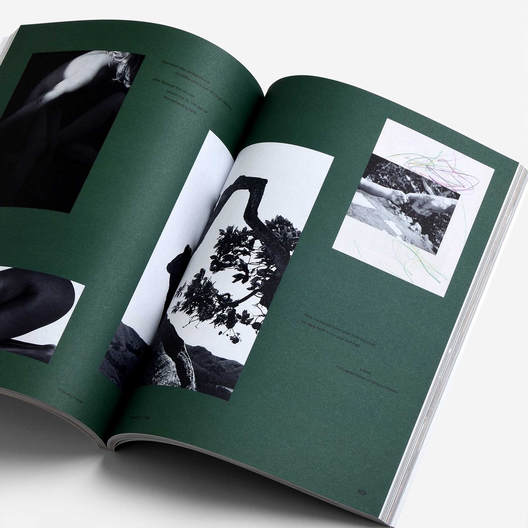 Primary Paper Issue 2