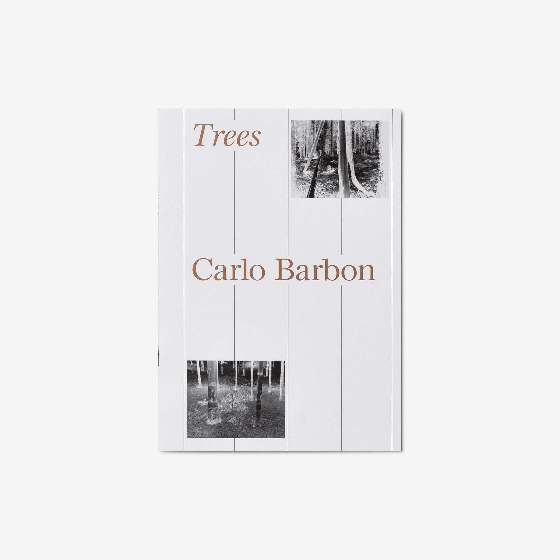 Carlo Barbon: Trees | North East