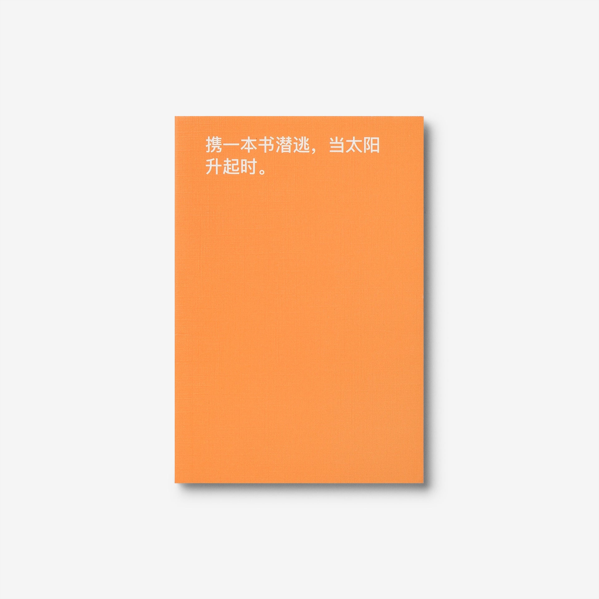 David Horvitz: How to shoplift books