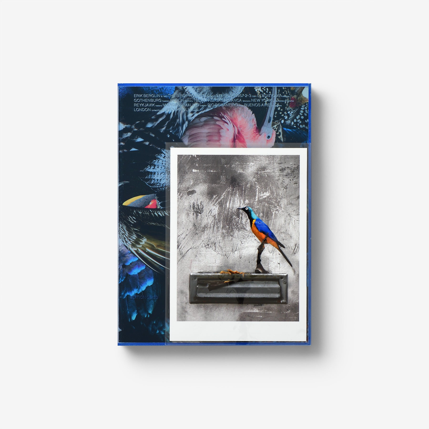 The Bird Project 2006–2017 Special Edition / Blue