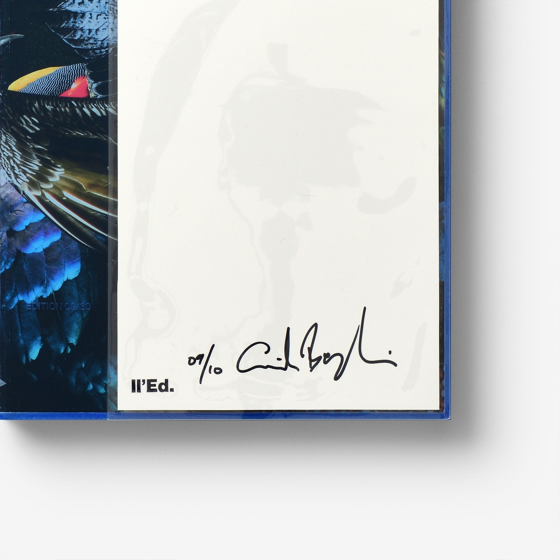 The Bird Project 2006–2017 Special Edition / Blue