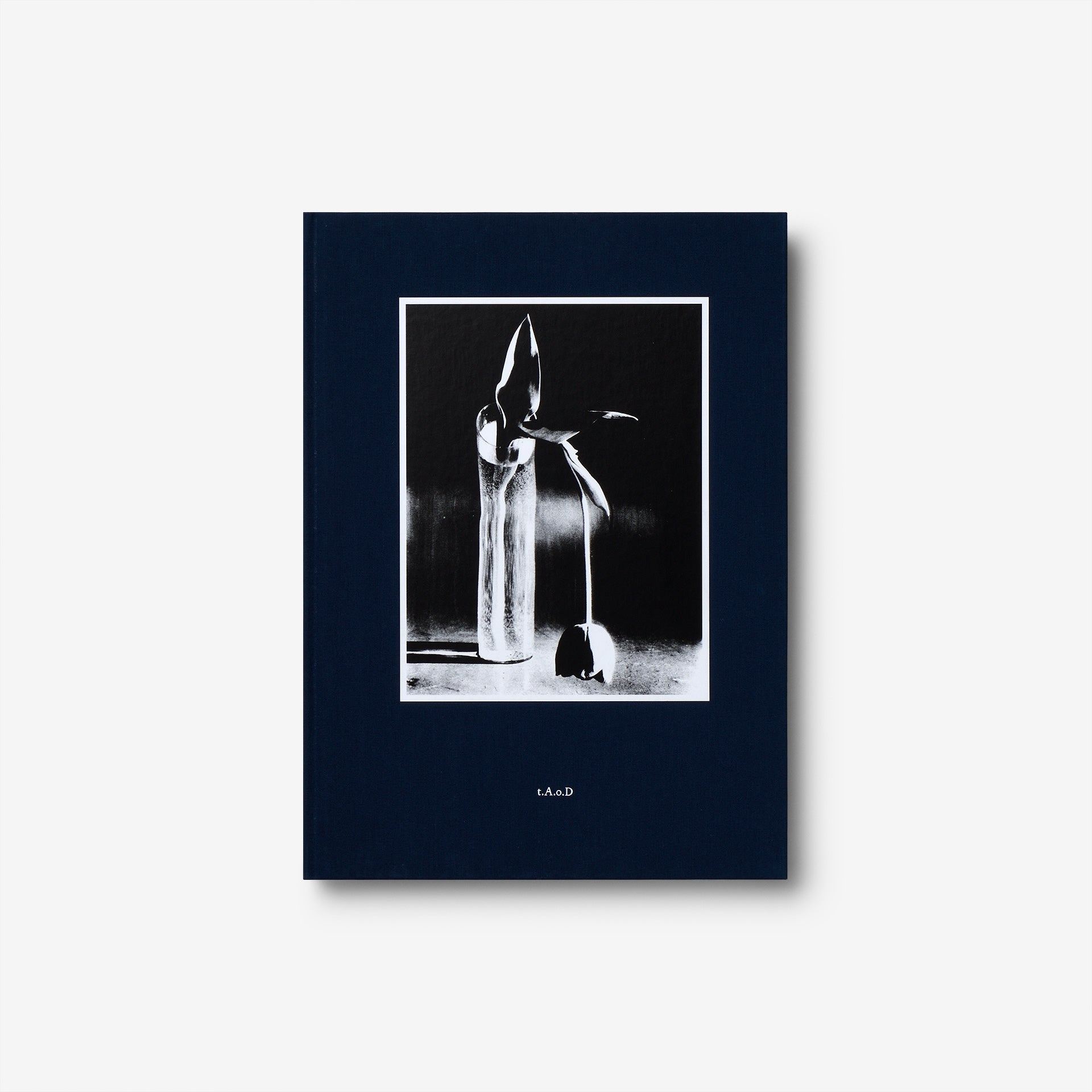 Kirstine Roepstorff: The Archive of Dark