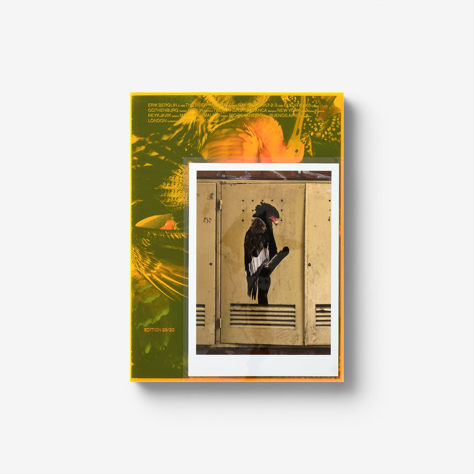 The Bird Project 2006–2017 Special Edition / Yellow