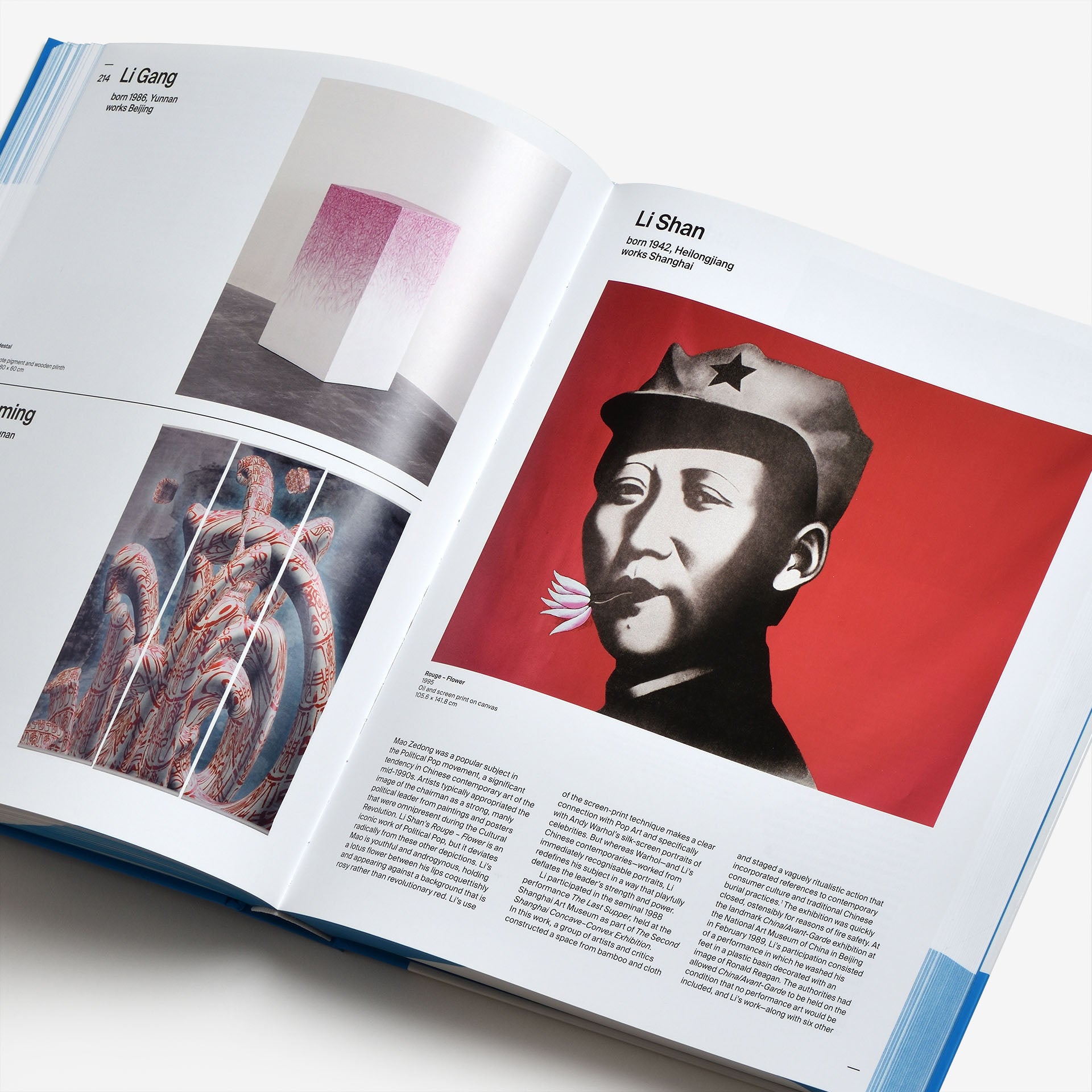 Chinese Art Since 1970: The M+ Sigg Collection