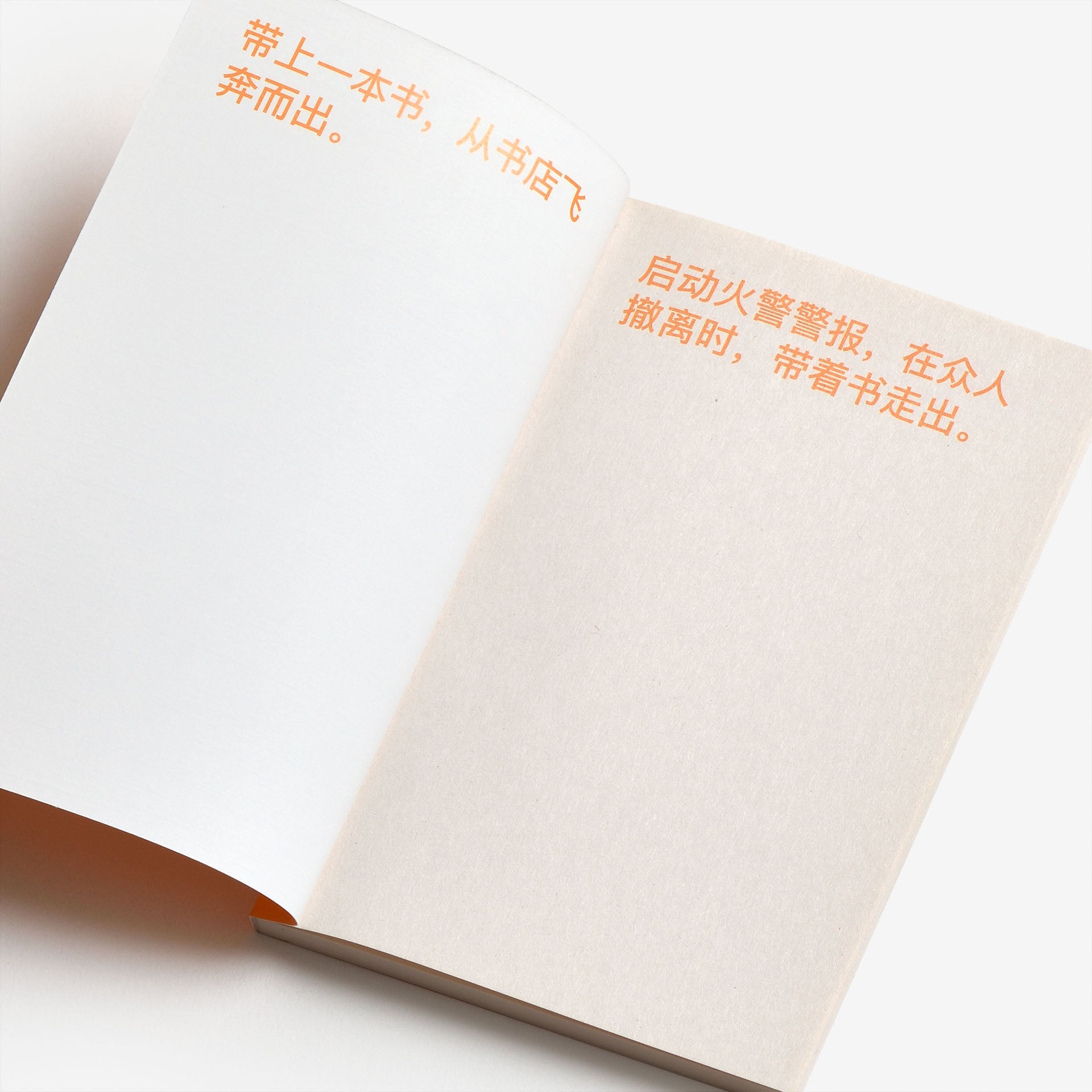 David Horvitz: How to shoplift books
