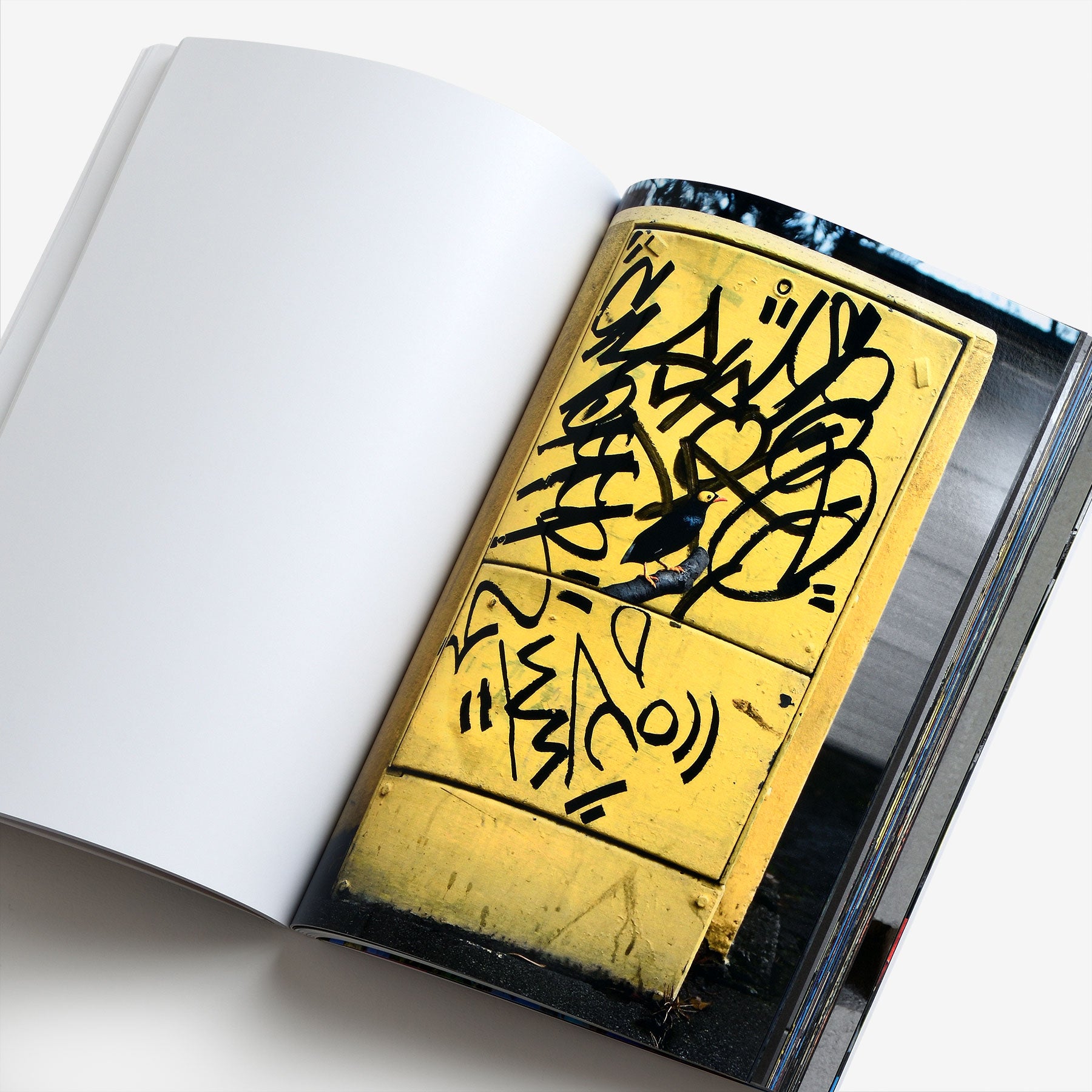 The Bird Project 2006–2017 Special Edition / Yellow